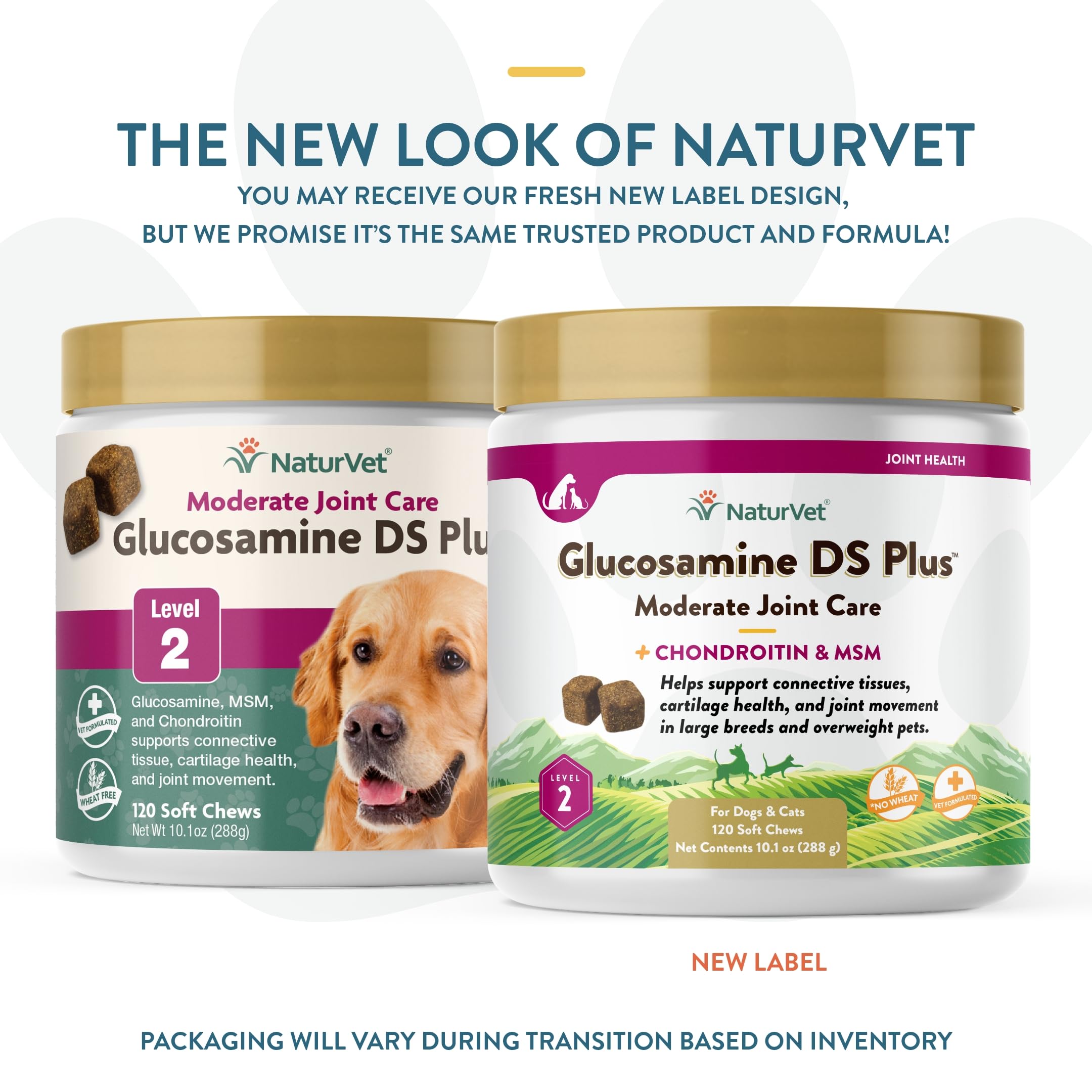 NaturVet – Glucosamine DS Plus - Level 2 Moderate Care – Supports Healthy Hip & Joint Function – Enhanced with Glucosamine, MSM & Chondroitin – for Dogs & Cats–120 Soft Chews NaturVetAu supplements