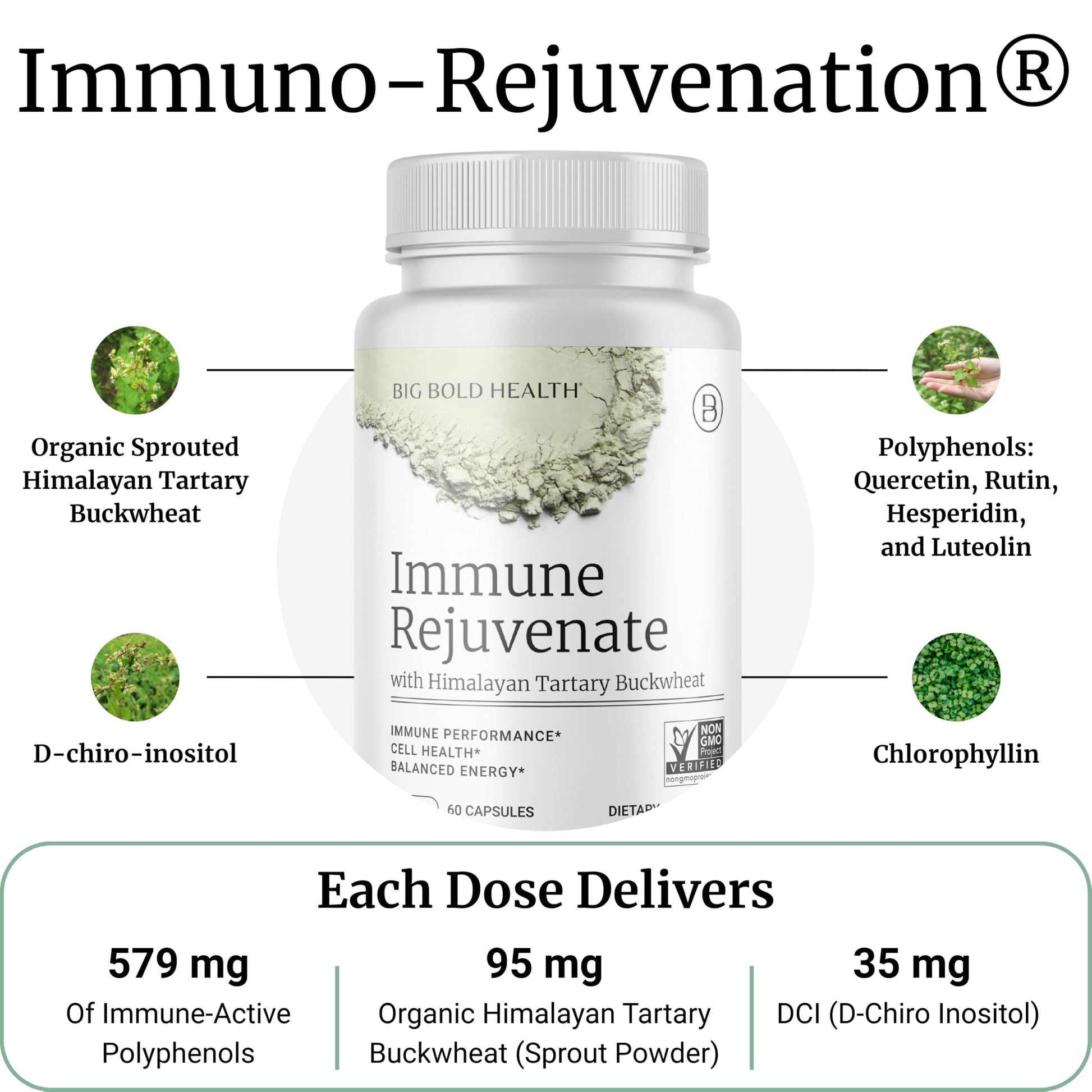 BIG BOLD HEALTH HTB Immune Rejuvenate - Polyphenols Supplement for Immune Support with Himalayan Tartary Buckwheat - Gluten Free, Dairy Free, Non-GMO Formula - 60 Vegetarian Capsules BIG BOLD HEALTHAu supplements