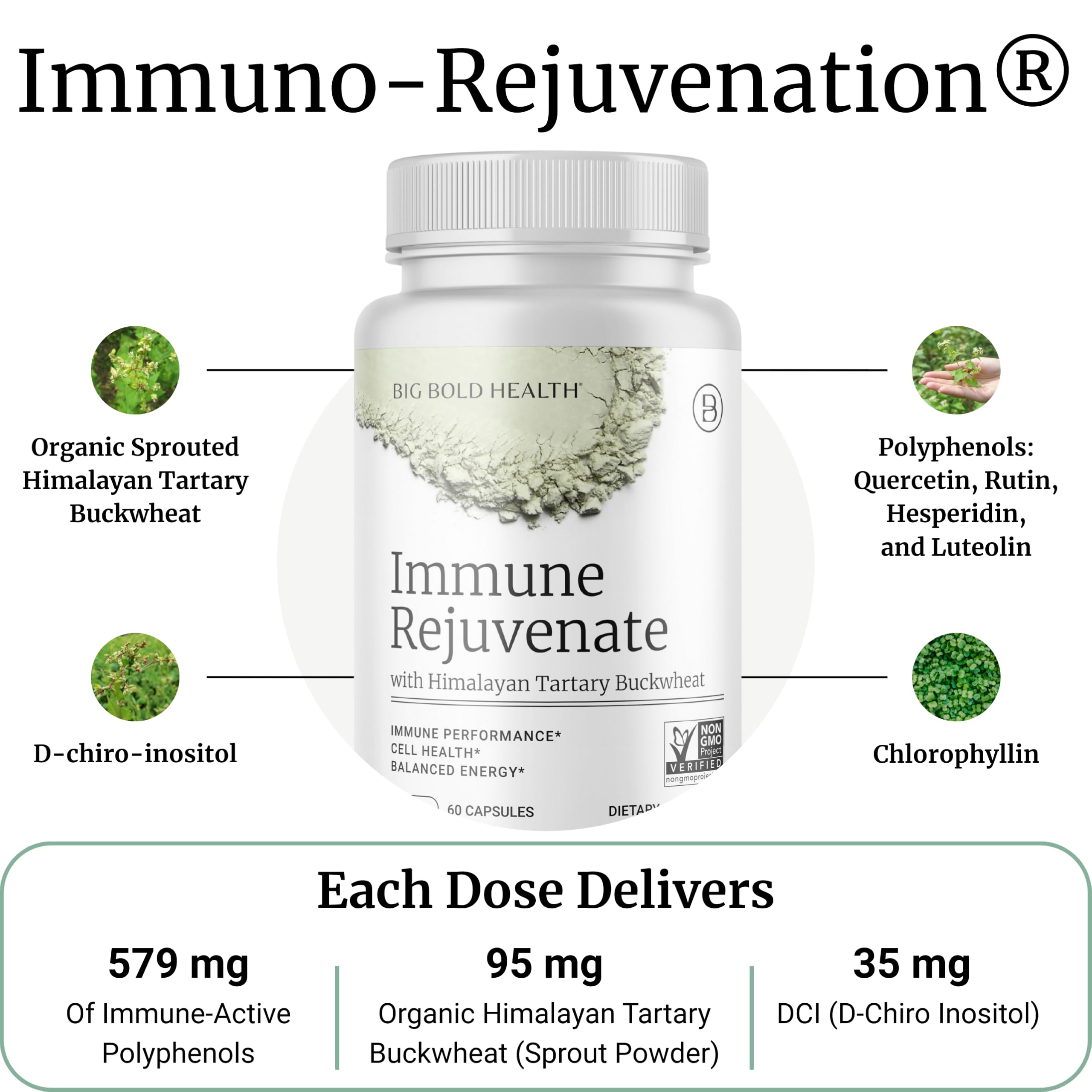 BIG BOLD HEALTH HTB Immune Rejuvenate - Polyphenols Supplement for Immune Support with Himalayan Tartary Buckwheat - Gluten Free, Dairy Free, Non-GMO Formula - 60 Vegetarian Capsules BIG BOLD HEALTHAu supplements