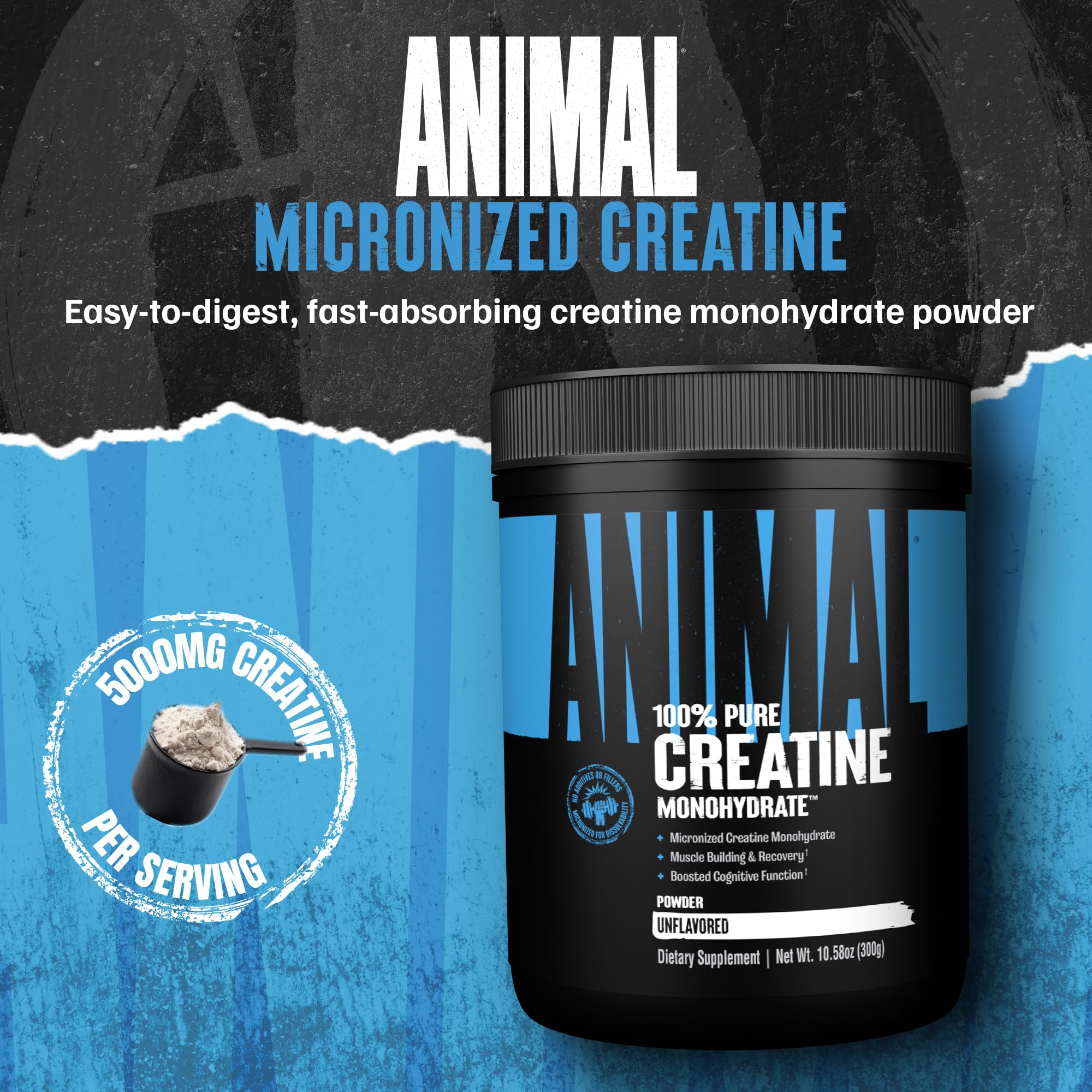 Animal Creatine Monohydrate Powder – Micronized Creatine for Women and Men, Supports Muscle Growth, Strength, Endurance, Recovery and ATP Production, Gym & Workout Supplements - Unflavored, 300g AnimalAu supplements