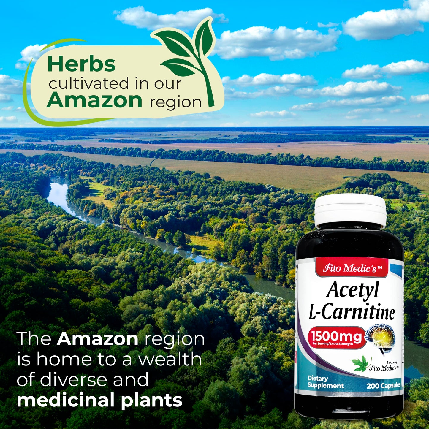 Lab - l carnitine - 1500 mg per Serving, 200 Capsules, l-carnitine - High Potency of - Acetyl FITO MEDIC'SUS supplements