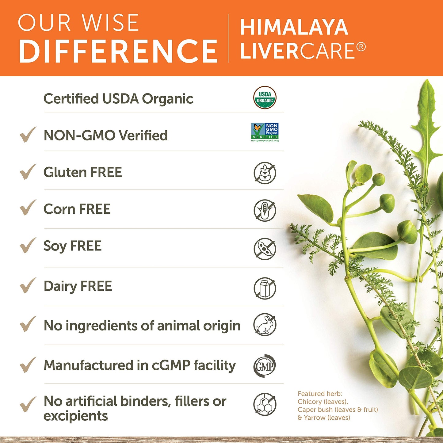 Himalaya LiverCare for Liver Cleanse and Liver Detox, 375 mg, 180 Capsules HimalayaUS supplements