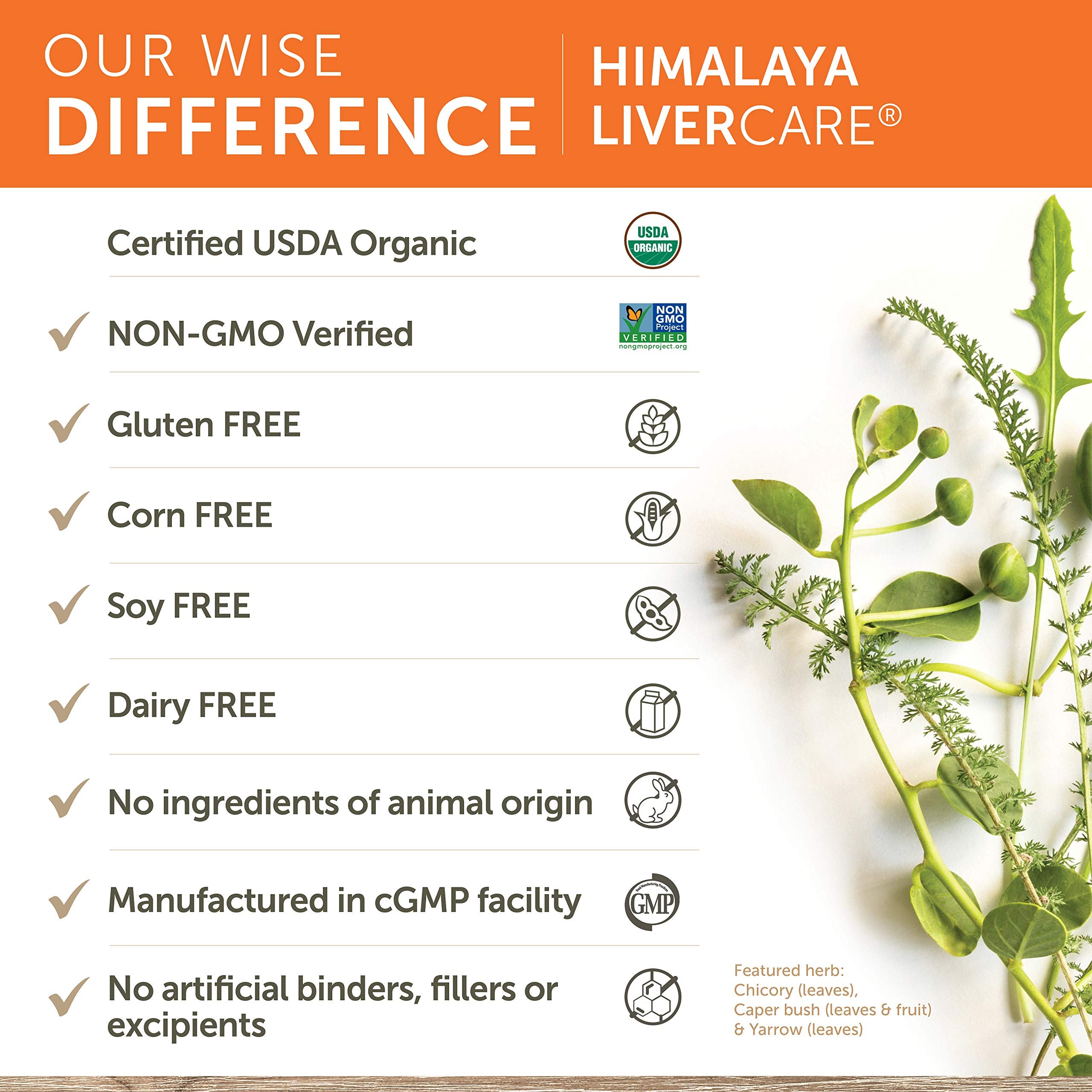 Himalaya LiverCare for Liver Cleanse and Liver Detox, 375 mg, 180 Capsules HimalayaAu supplements