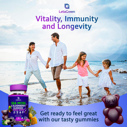 LetaGreen Irish Sea Moss Gummies - 60 Vegan Seamoss Gummies Bears LetaGreenUS supplements