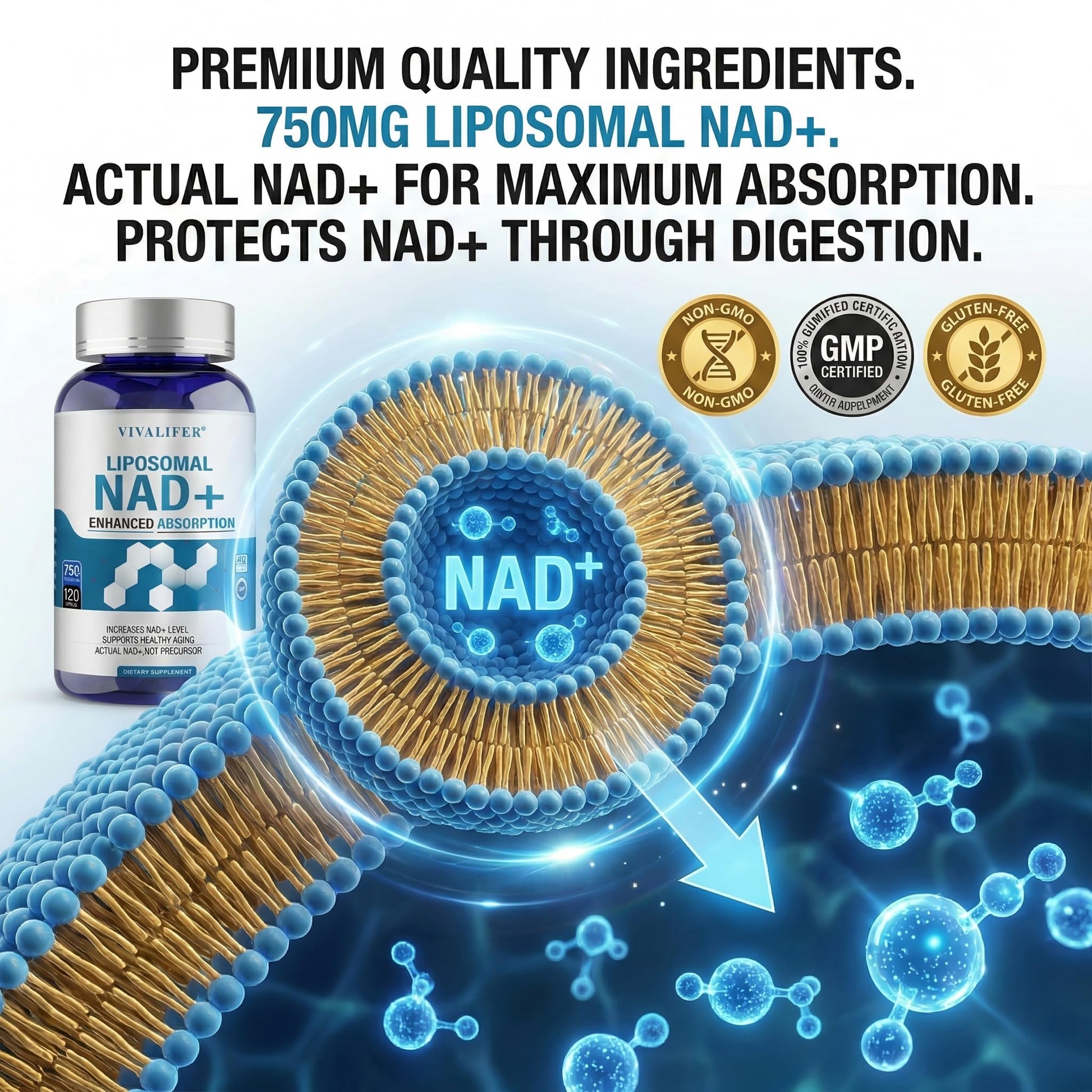 Liposomal NAD+ Supplement 750mg - 120 Capsules NMN Alternative Superior Absorption & Bioavailability -True Nicotinamide Adenine Dinucleotide for Cellular Energy, DNA Repair Support & Healthy Aging DQQIAu supplements