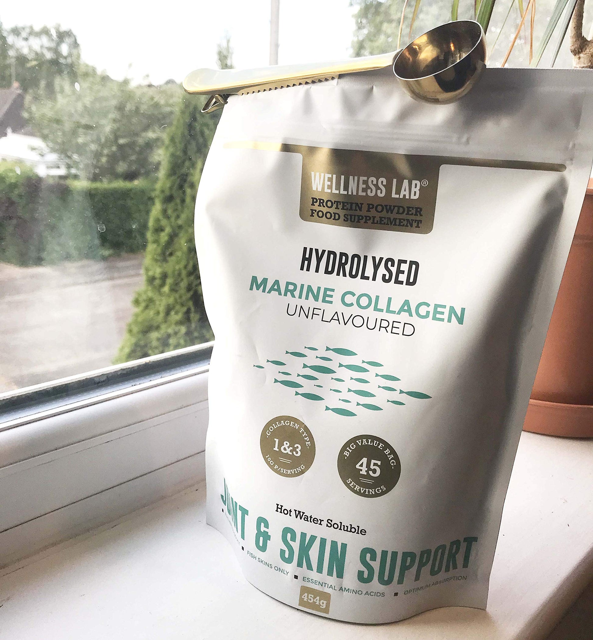 Cleanest Marine Collagen Peptides | Wellness Lab 454g | Type I,III | Highest Bioavailability Hydrolysed Protein Wellness LabAu supplements
