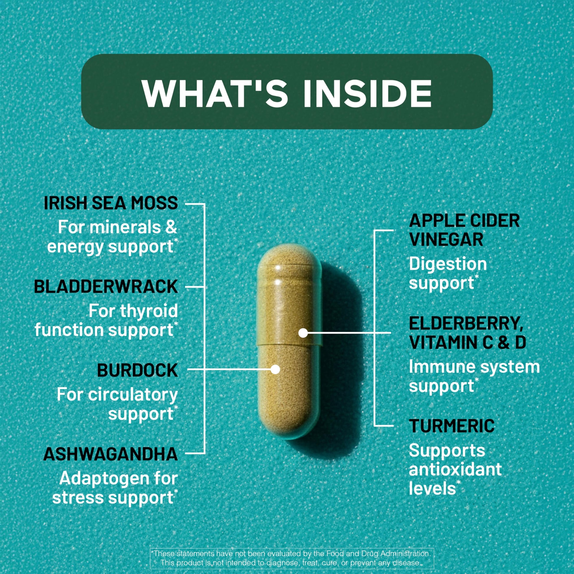 SMARTERNUTRITION Sea Moss Multimineral with Irish Sea Moss with Ashwagandha Bladderwrack Turmeric Zinc Vitamin C Elderberry Dandelion - Non-GMO, USA Manufactured - 60 Capsules[30 Day Supply] SMARTERNUTRITIONAu supplements