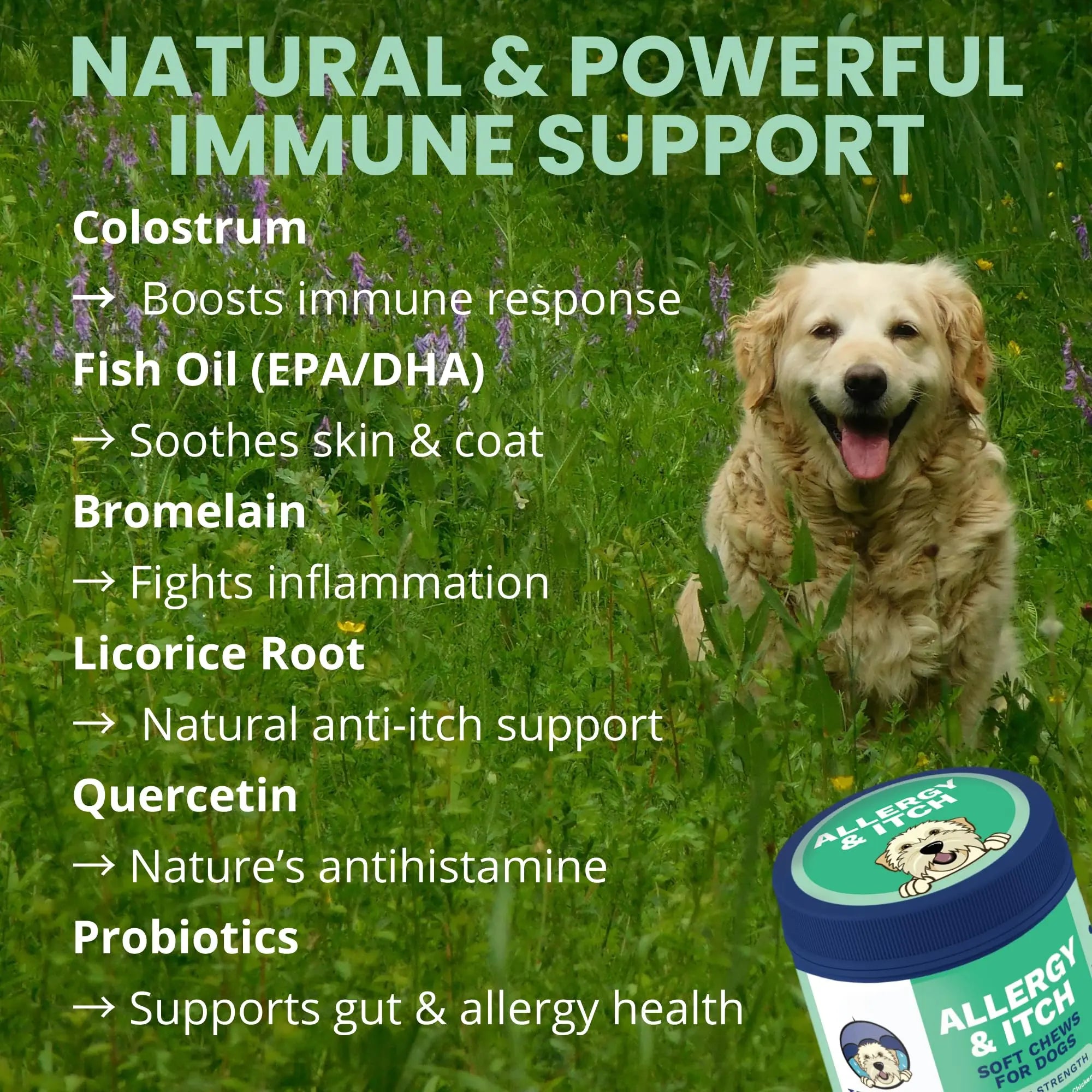 Under the Weather Allergy & Itch Pet Allergy Chews for Dogs | Vet Formulated Skin Support for Canines | Soothing Dog Allergies and Itching Relief Supplement | 60 Count Under the Weathernz supplements
