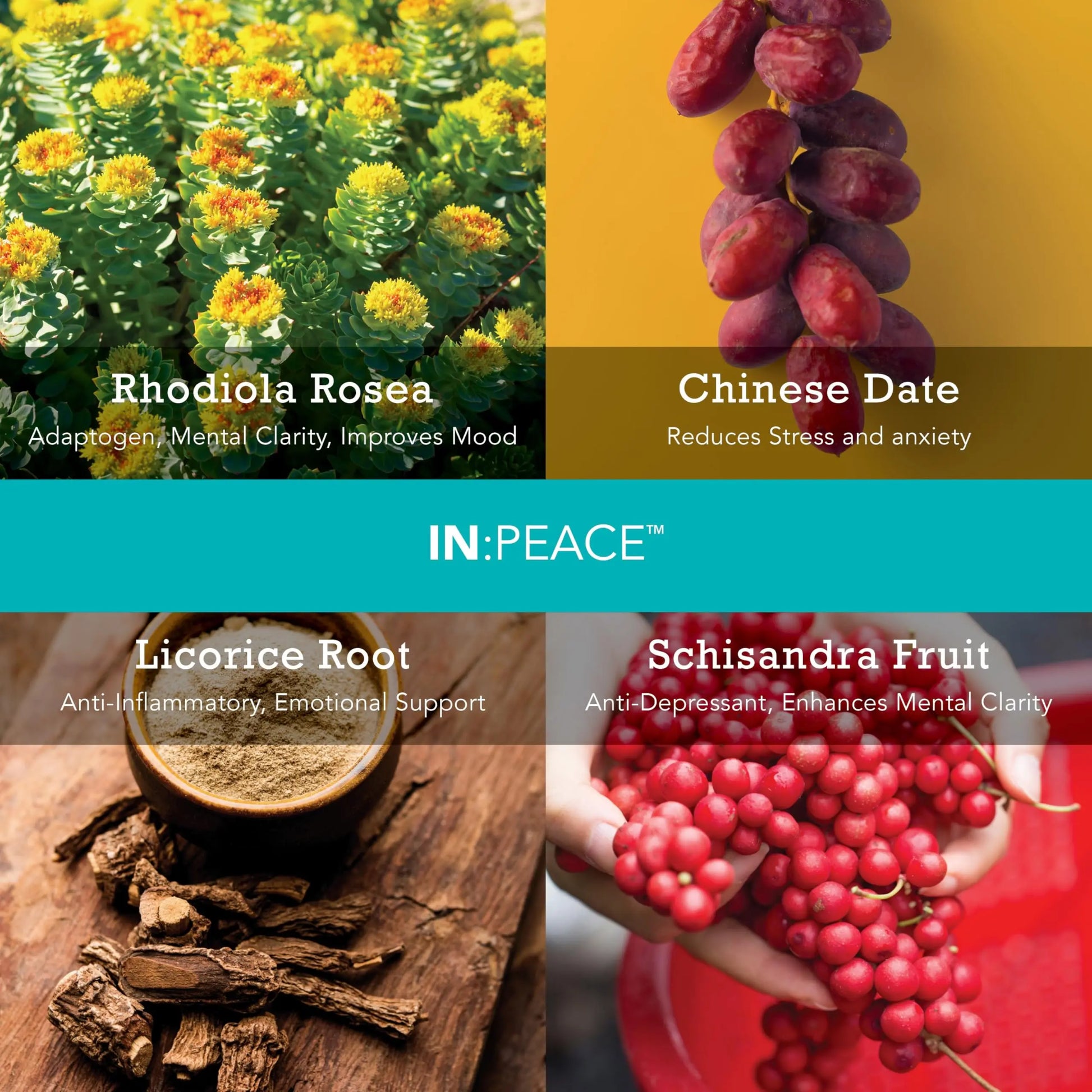 In:TotalWellness IN:Peace Herbal Calming Formula. 20 Serving Pouch, Wild Berry Flavor. 9 Herb Antioxidant + Adaptogen Blend. Clinically Proven Ingredients. Crafted by a Licensed Herbalist INTotalWellnessAu supplements