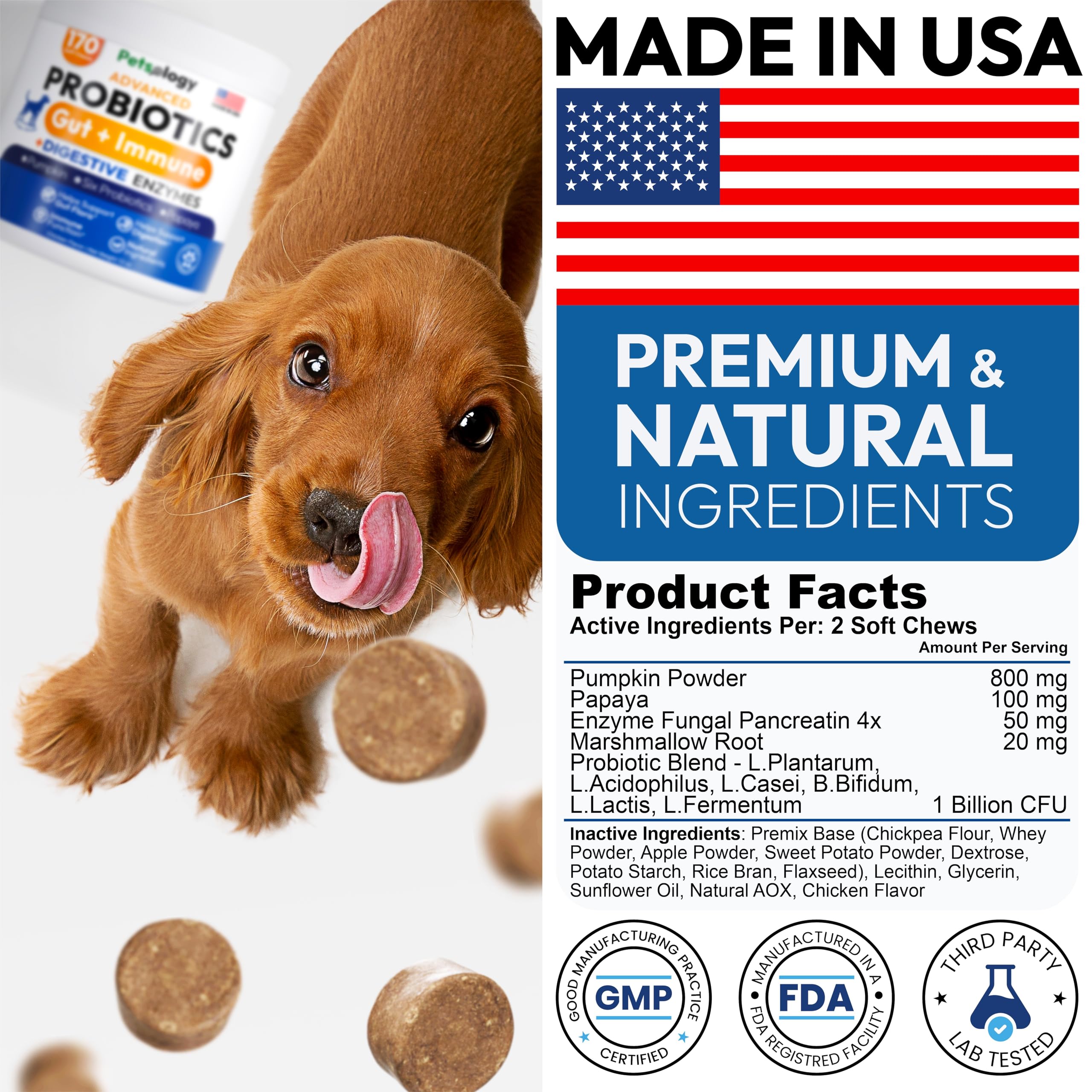 Probiotics for Dogs - 170 Dog Probiotics Chews - Digestive Enzymes & Prebiotics - Support Gut Health, Diarrhea, Gas & Constipation Relief - Itchy Skin, Allergies, Yeast Balance - Advanced Supplement PetsologyAu supplements