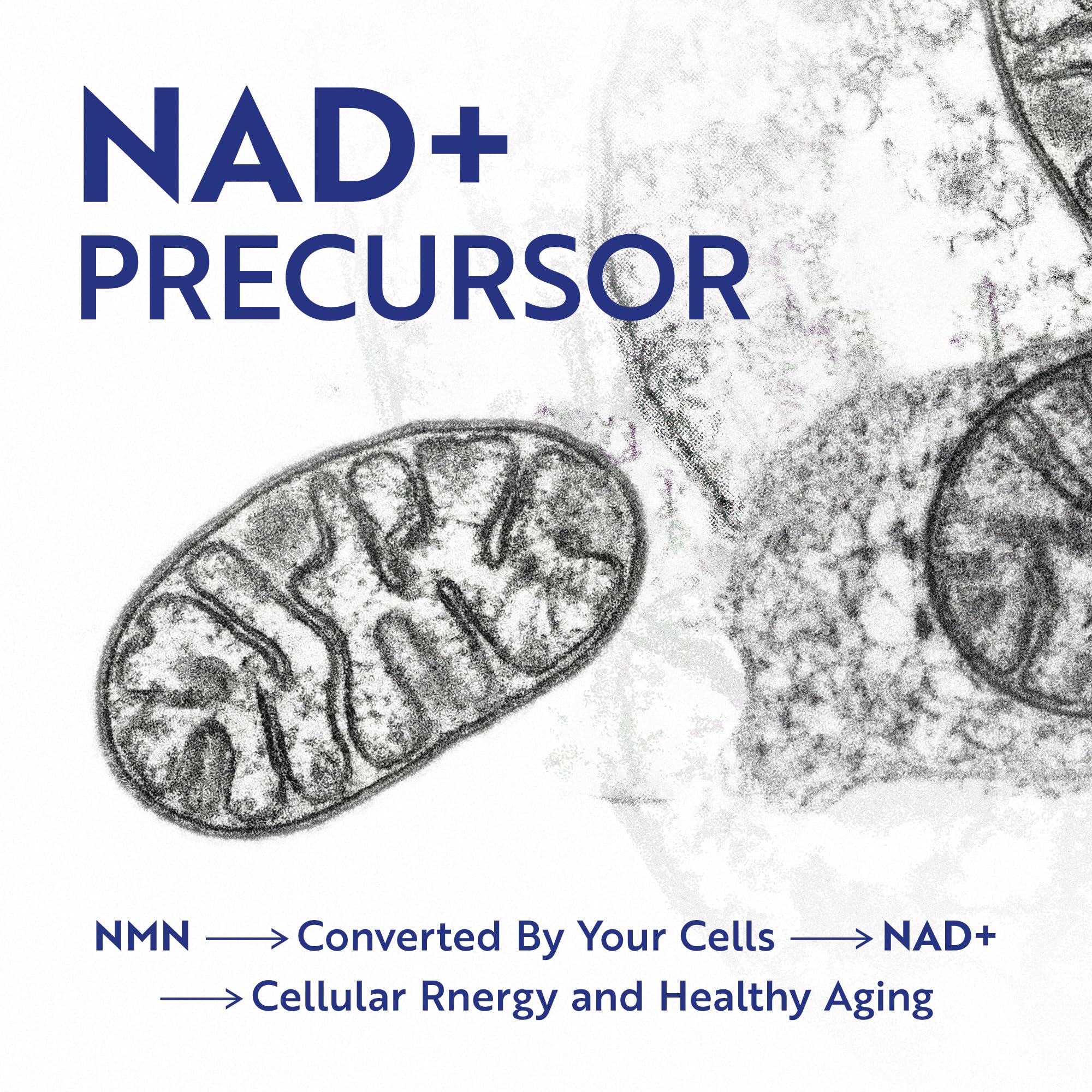 NMN Supplement 500mg | 99% Pure | NAD+ Precursor for Cellular Energy, Longevity, Repair, and Healthy Aging Support | Third-Party Tested & Non-GMO | Nicotinamide Mononucleotide | 60 NMN Capsules Nobi NutritionAu supplements