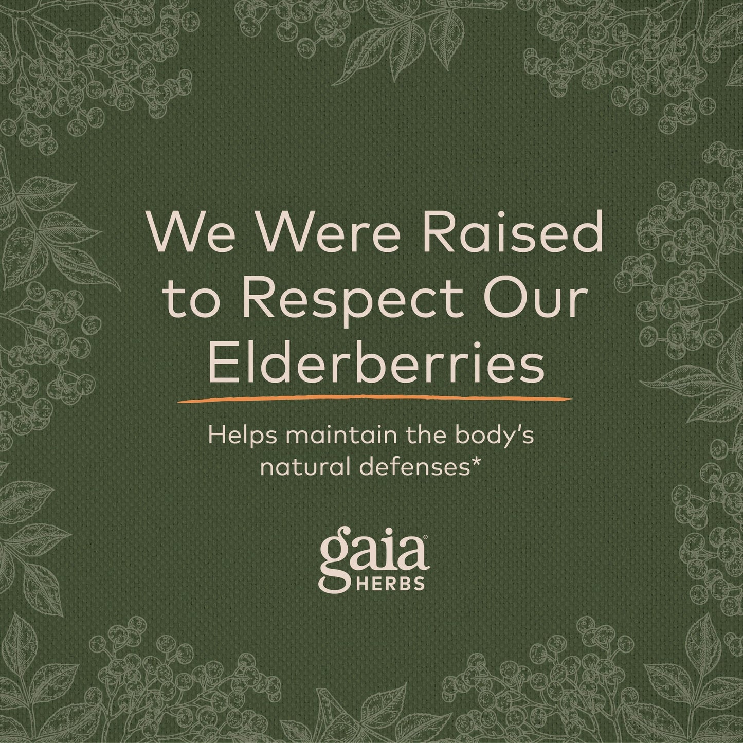 Gaia Herbs Black Elderberry (Sambucus Nigra) Extra Strength Gummies Gaia HerbsUS supplements