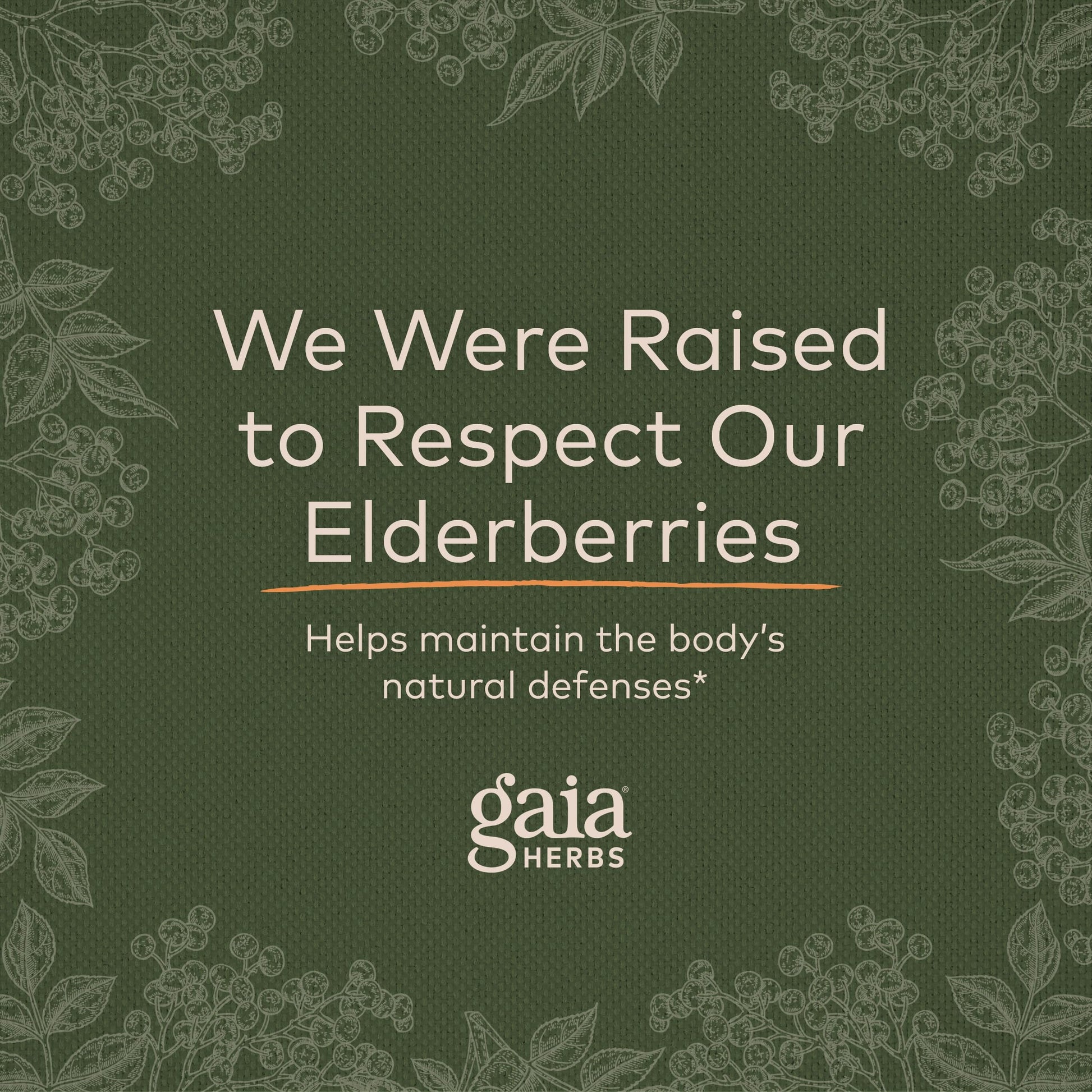 Gaia Herbs Black Elderberry (Sambucus Nigra) Extra Strength Gummies Gaia HerbsAu supplements