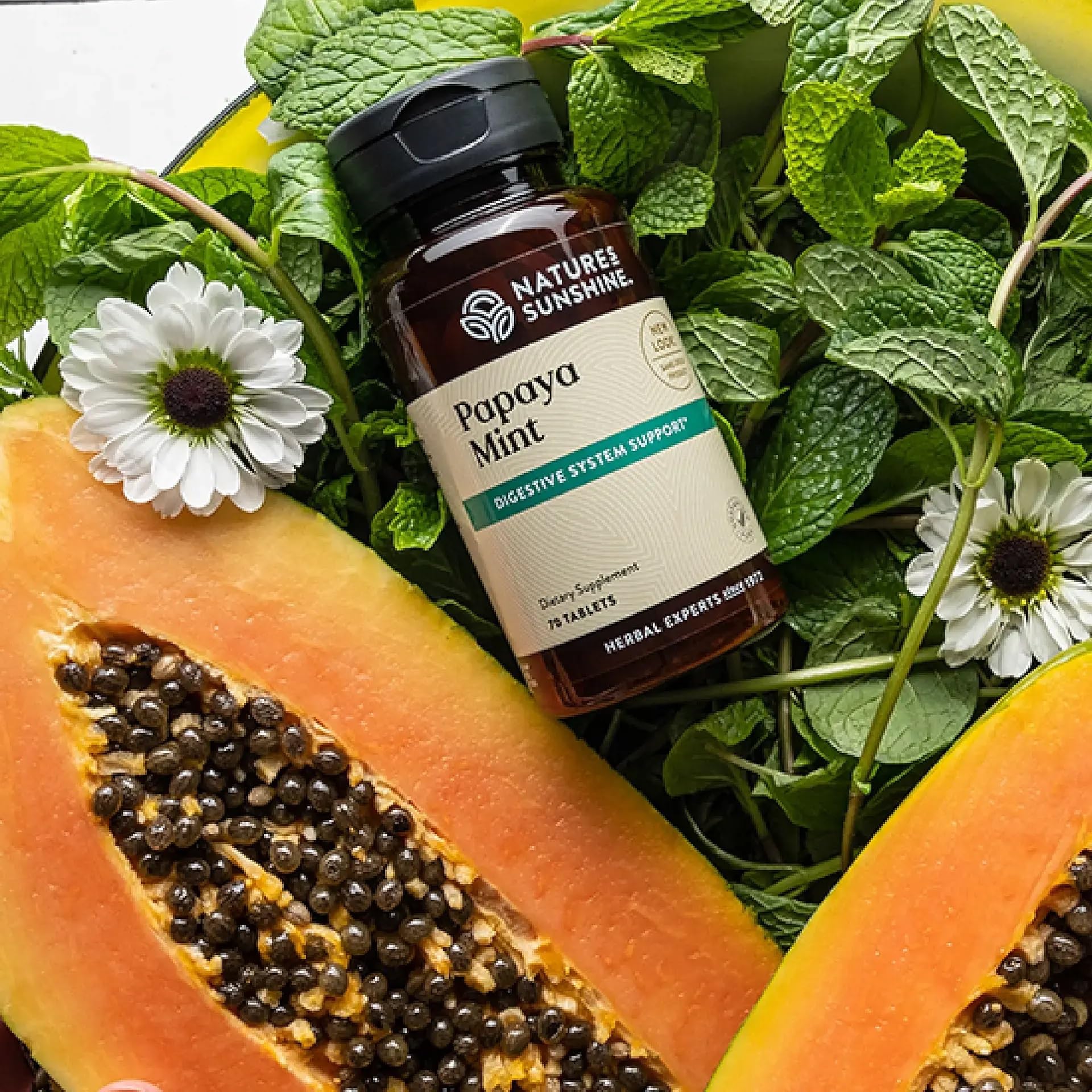 Papaya & Peppermint by Nature's Sunshine Nature's SunshineAu supplements