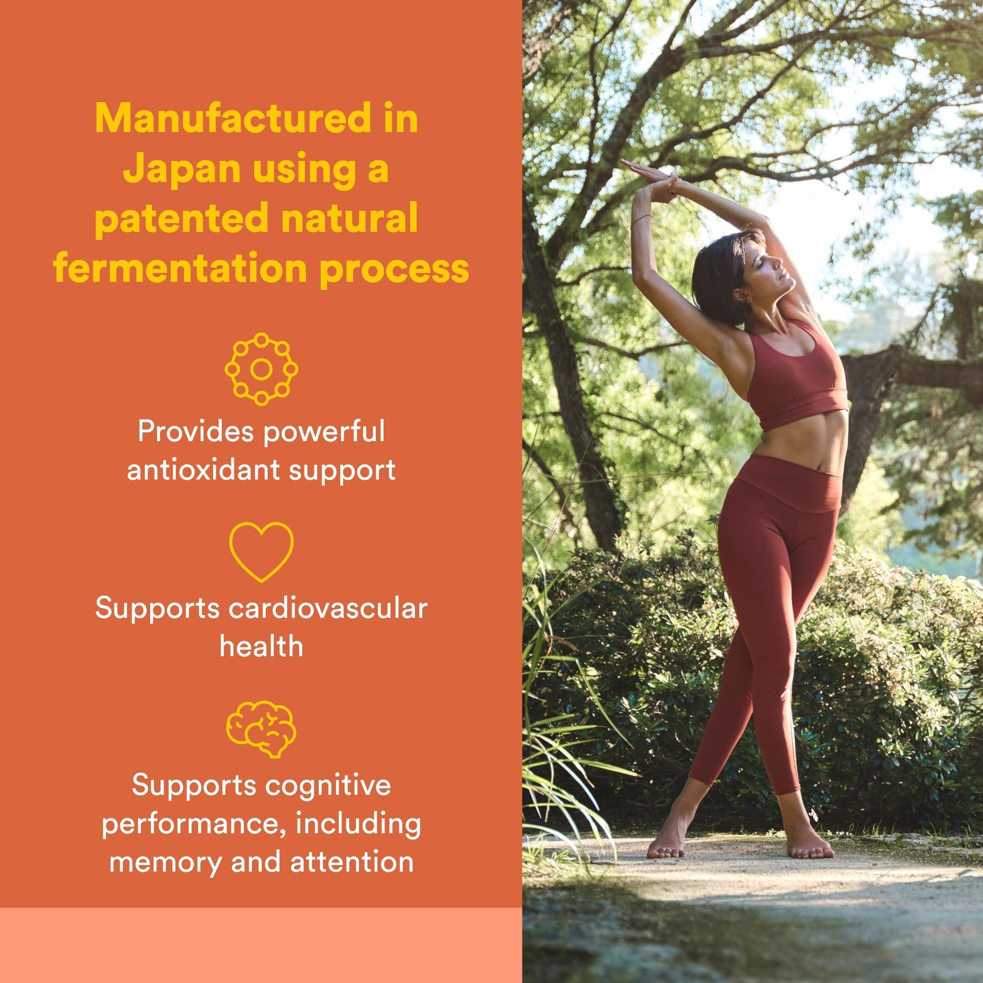 Natural Factors, PQQ-10, Supports Energy and Healthy Aging, Dietary Supplement, 60 softgels (60 servings) Natural FactorsAu supplements