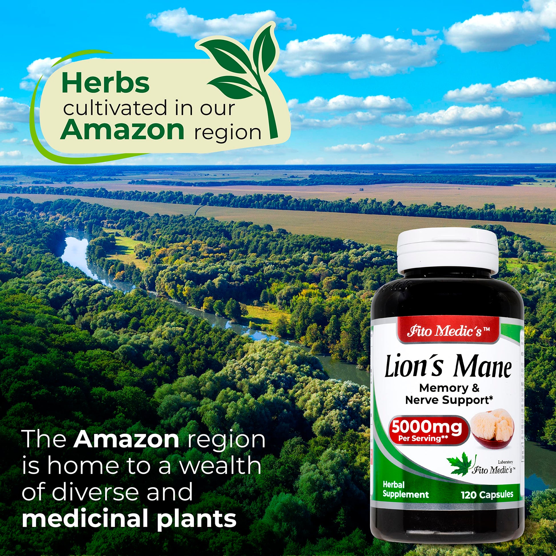 Lab | Lions Mane | 5000 mg per Serving | 120 Capsules | lions mane supplement | lions mane FITO MEDIC'SAu supplements
