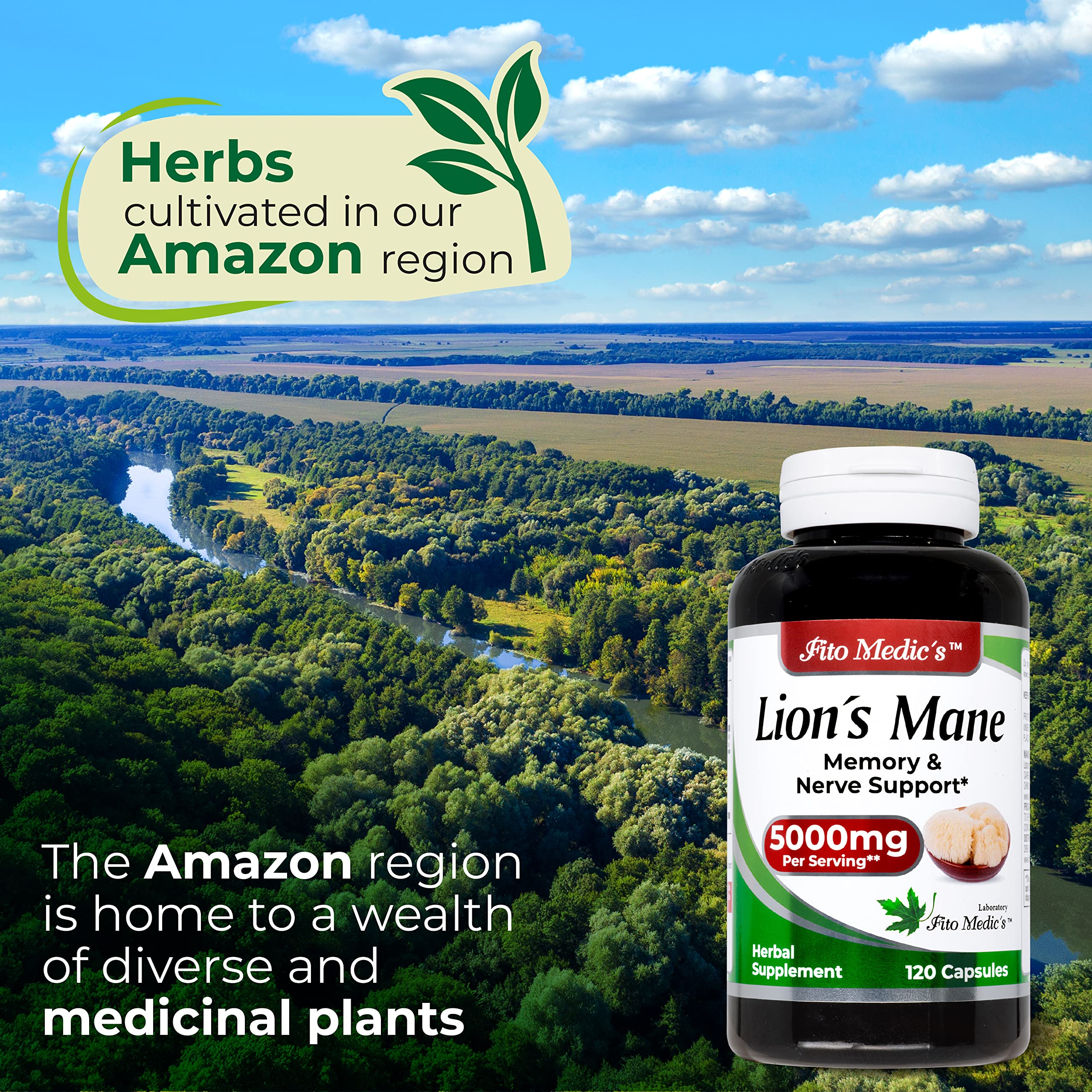 Lab | Lions Mane | 5000 mg per Serving | 120 Capsules | lions mane supplement | lions mane FITO MEDIC'SAu supplements