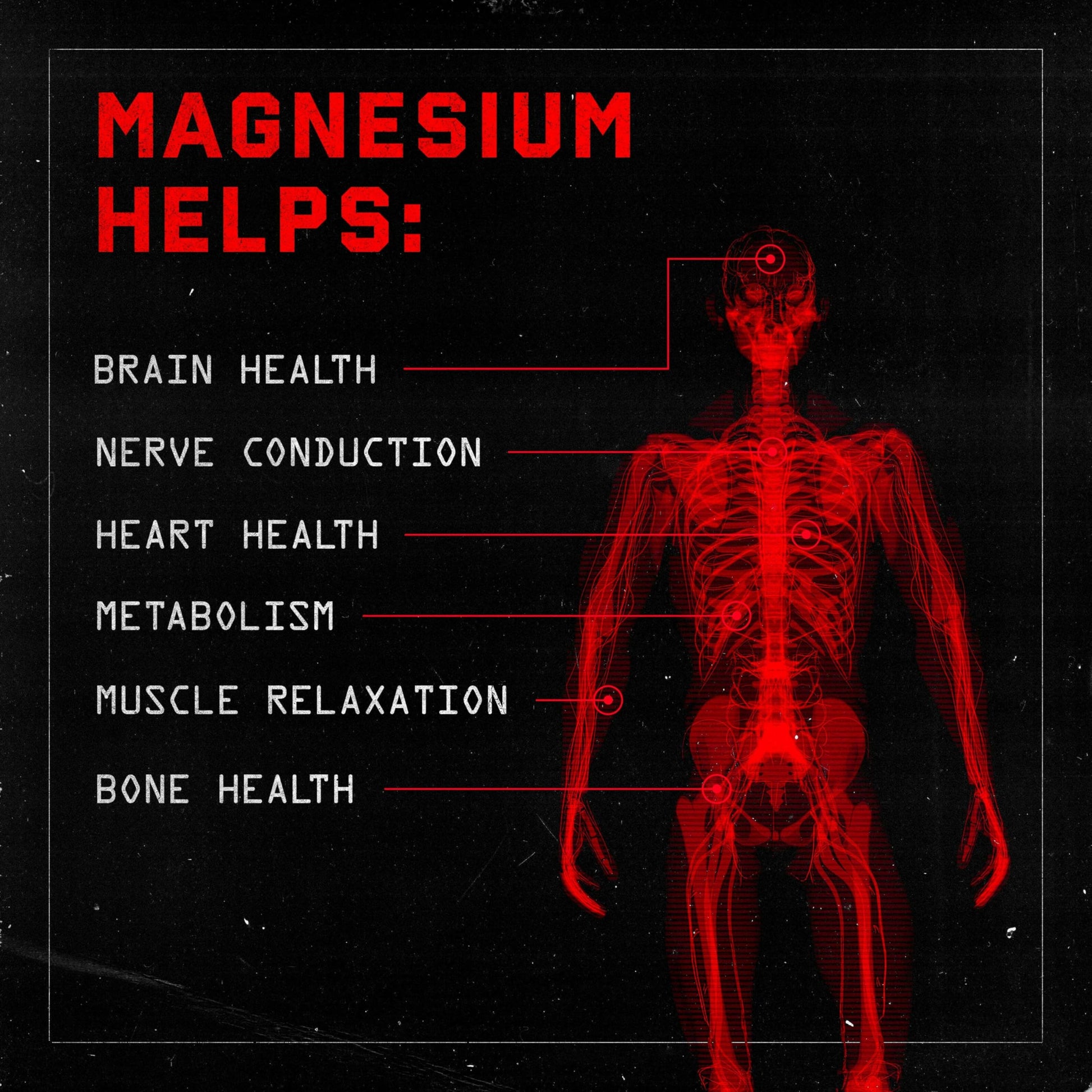 Jocko Fuel Magnesium Complex Supplement - Magnesium Glycinate, Citrate, & Taurate Capsules Dietary Supplement for Muscle Recovery & Relaxation, Heart, Nerve, Bone Support, & Sleep 30-Day Supply Jocko FuelAu supplements
