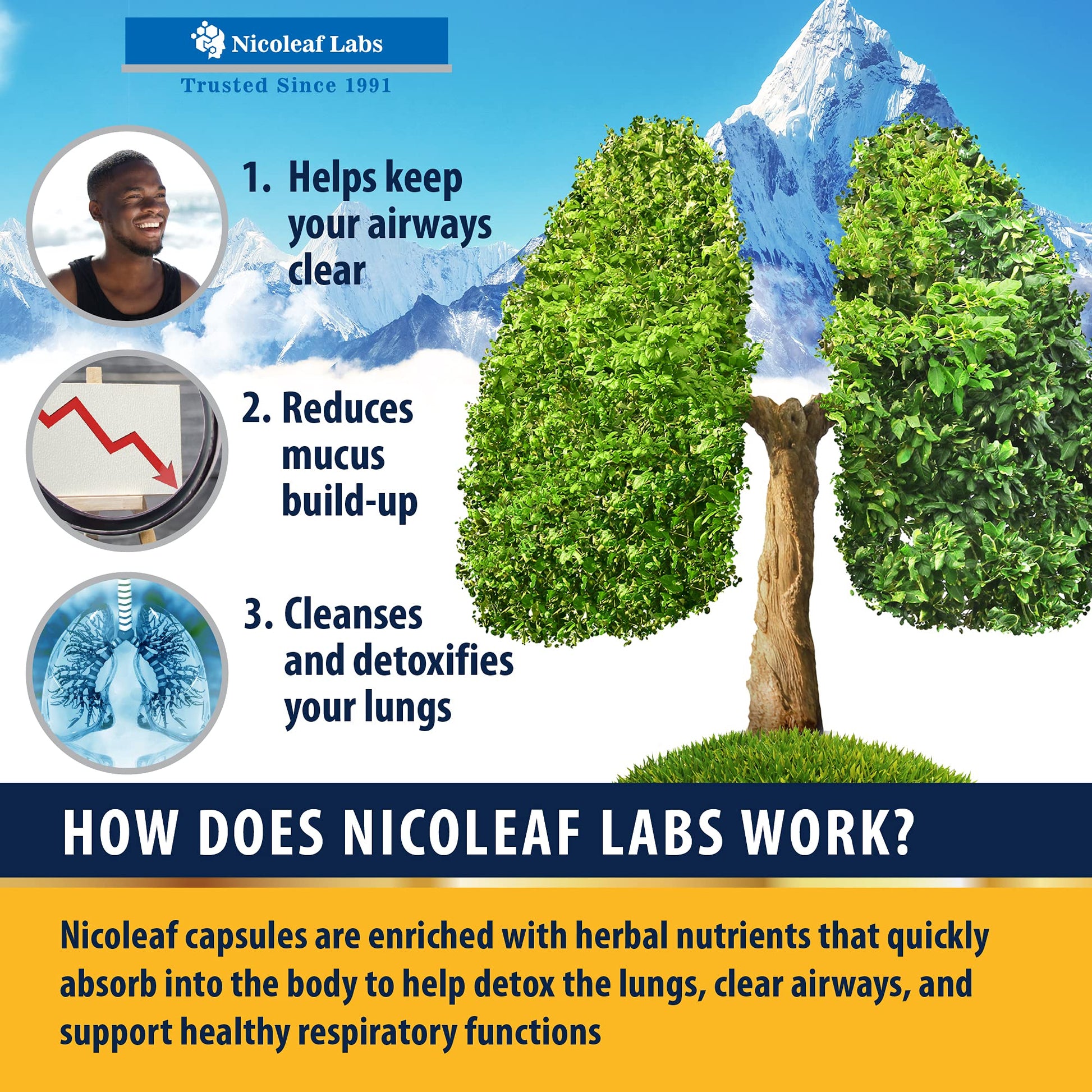 Smoker's Cleanse - Quit Smoking Aid & Respiratory Support - Made in USA NICOLEAF LABSUS supplements