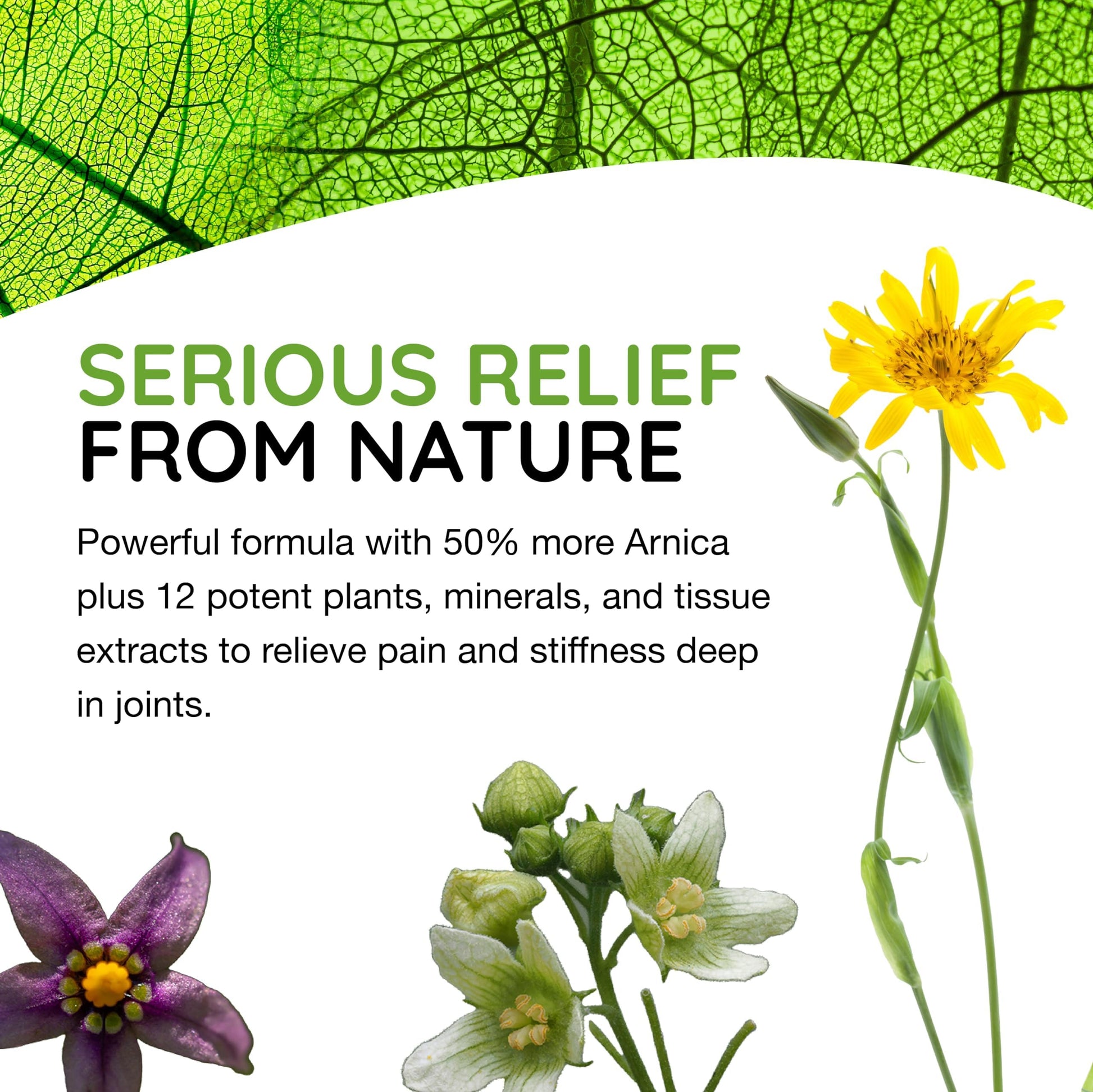 T-Relief Extra Strength Arthritis Cream Arnica +12 Pain Relieving Natural Medicines Help Soothe Soreness Stiffness Aches & Pains in Joints Naturally - 3 oz MediNaturaAu supplements