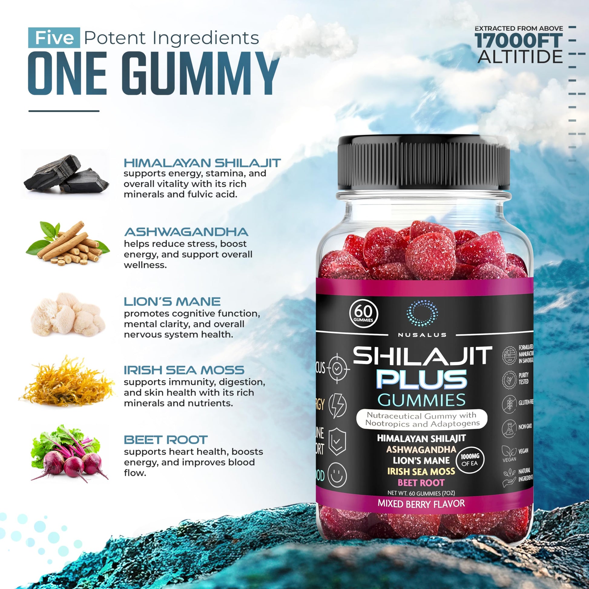 Nusalus Shilajit Plus Gummies – 5-in-1 Adaptogen Energy & Focus Supplement | Shilajit, Ashwagandha, Lion’s Mane, Sea Moss & Beet Root | Natural Energy & Stress Support | Made in USA, Vegan, 60ct NusalusAu supplements
