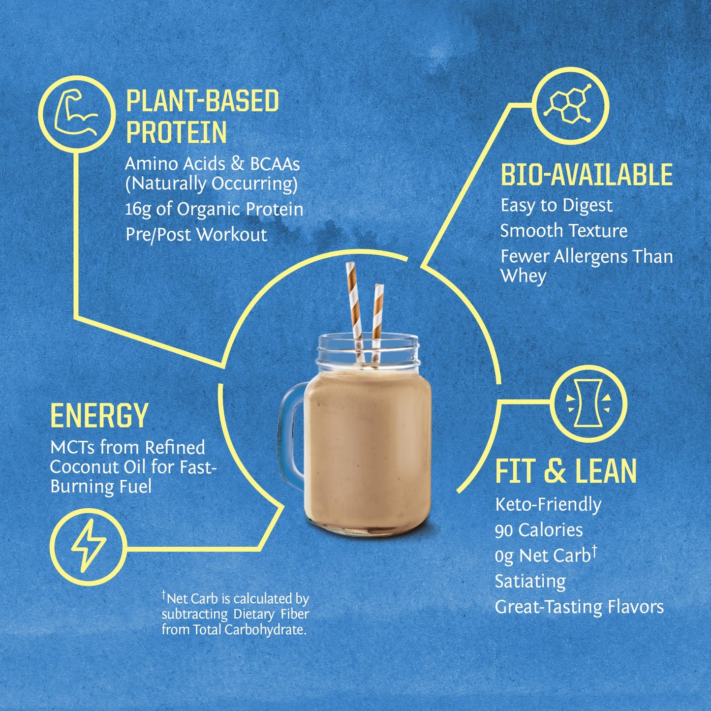 Vegan Protein Powder Plant-based Protein Powder USDA Organic | BCAA Amino Acids SunwarriorUS supplements
