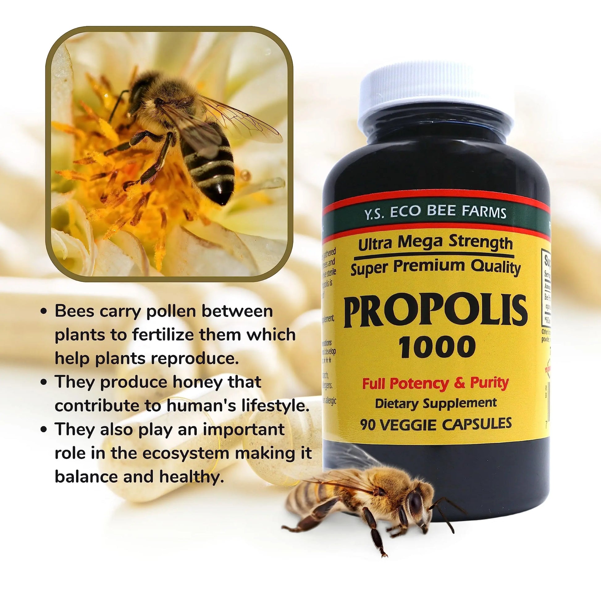 Y.S. Organic Bee Farms Propolis-Raw Unprocessed 1000mg - Your Gateway to Wellness - 90 Capsules with Bonus worldwidenutrition Multi Purpose Key Chain Worldwide NutritionAu supplements
