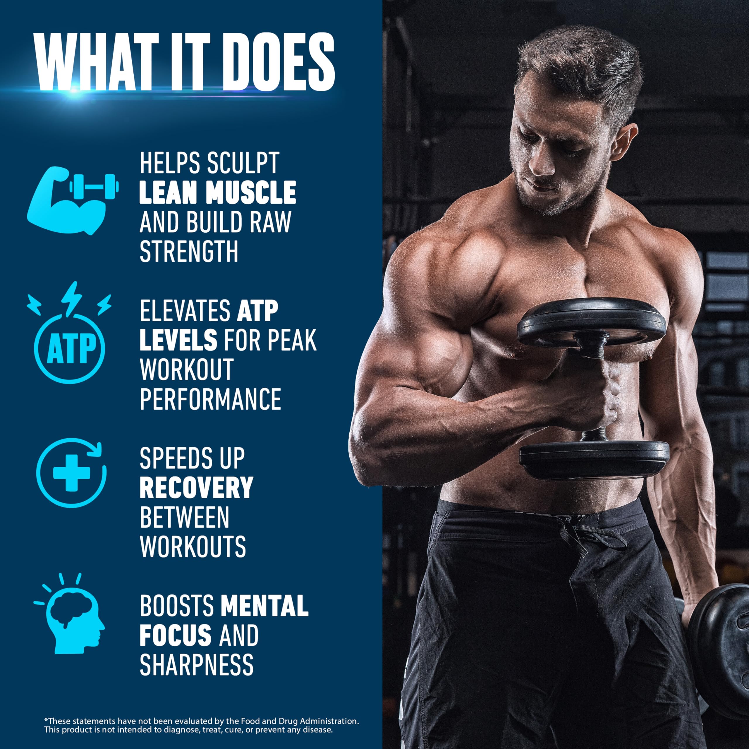 Creatine Monohydrate Powder 500g – Supports Muscle Growth, Strength & Cognitive Function*, 5g per Serv - 100 Servings, Pure Micronized Creatine for Enhanced Performance, Unflavored, 17.9 oz SCHIFFER HEALTHAu supplements