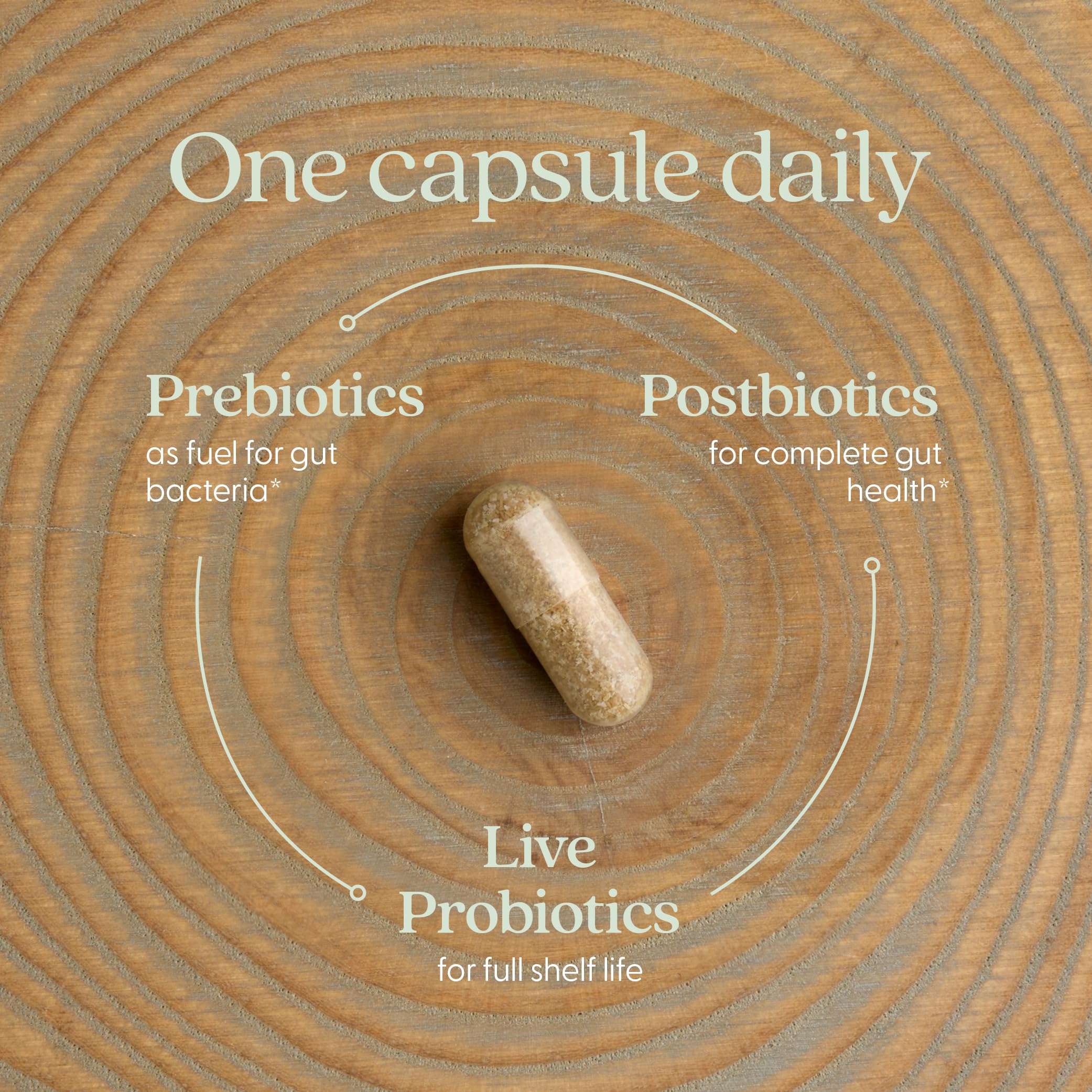 New Chapter All-Flora Probiotic for Advanced Digestion & Complete Gut Health with Prebiotics + Postbiotics, Clinical-Strength Strains, 100% Vegetarian, Non-GMO, Shelf Stable - 60 ct (2 Month Supply) New ChapterAu supplements
