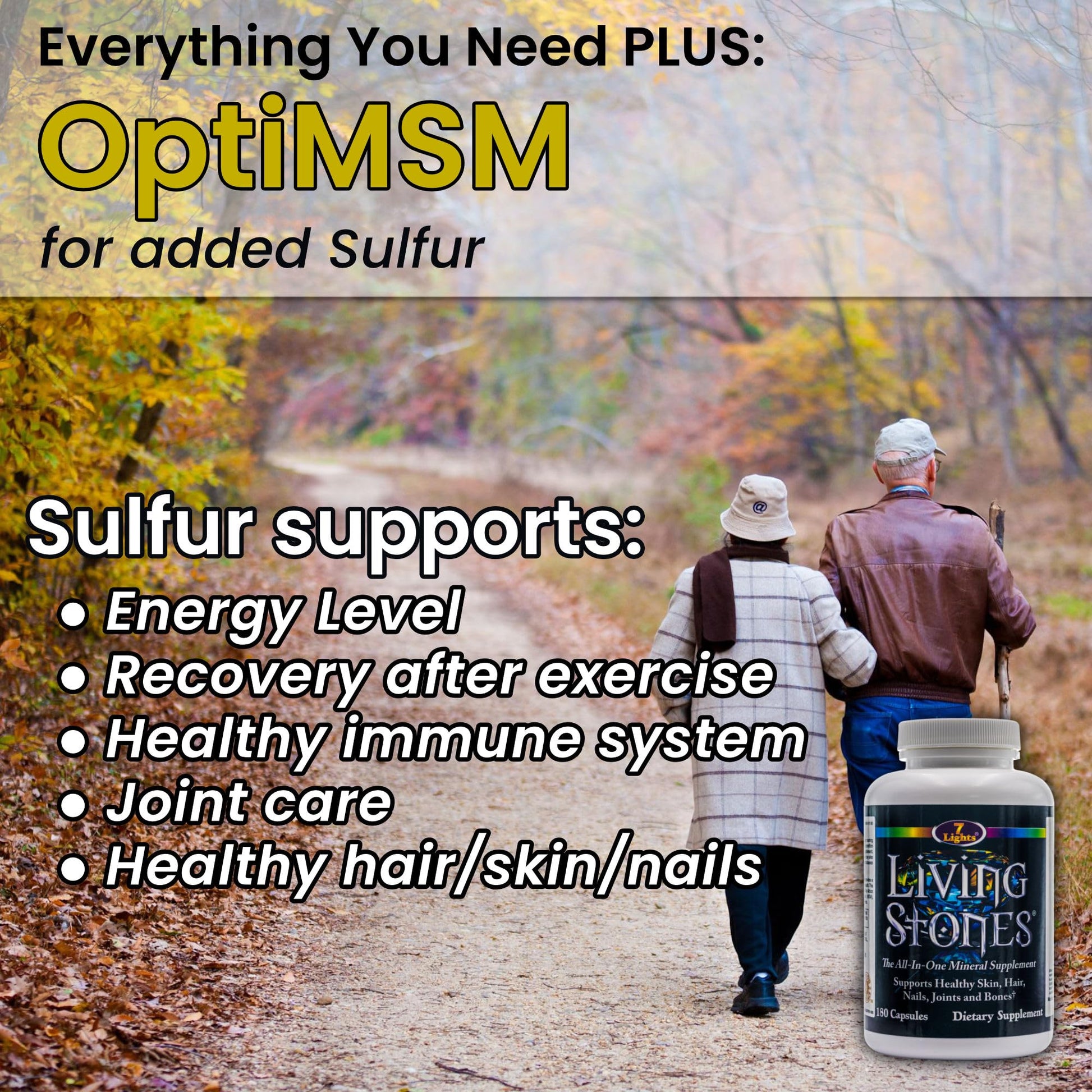 Living Stones, Complete Mineral Supplement with Zinc, Calcium, Magnesium, Selenium, Trace Minerals, No Added Iron, with MSM (Organic Sulfur) and Shilajit, Premium Absorption (30-Day Supply - 180 Caps) 7 LightsAu supplements