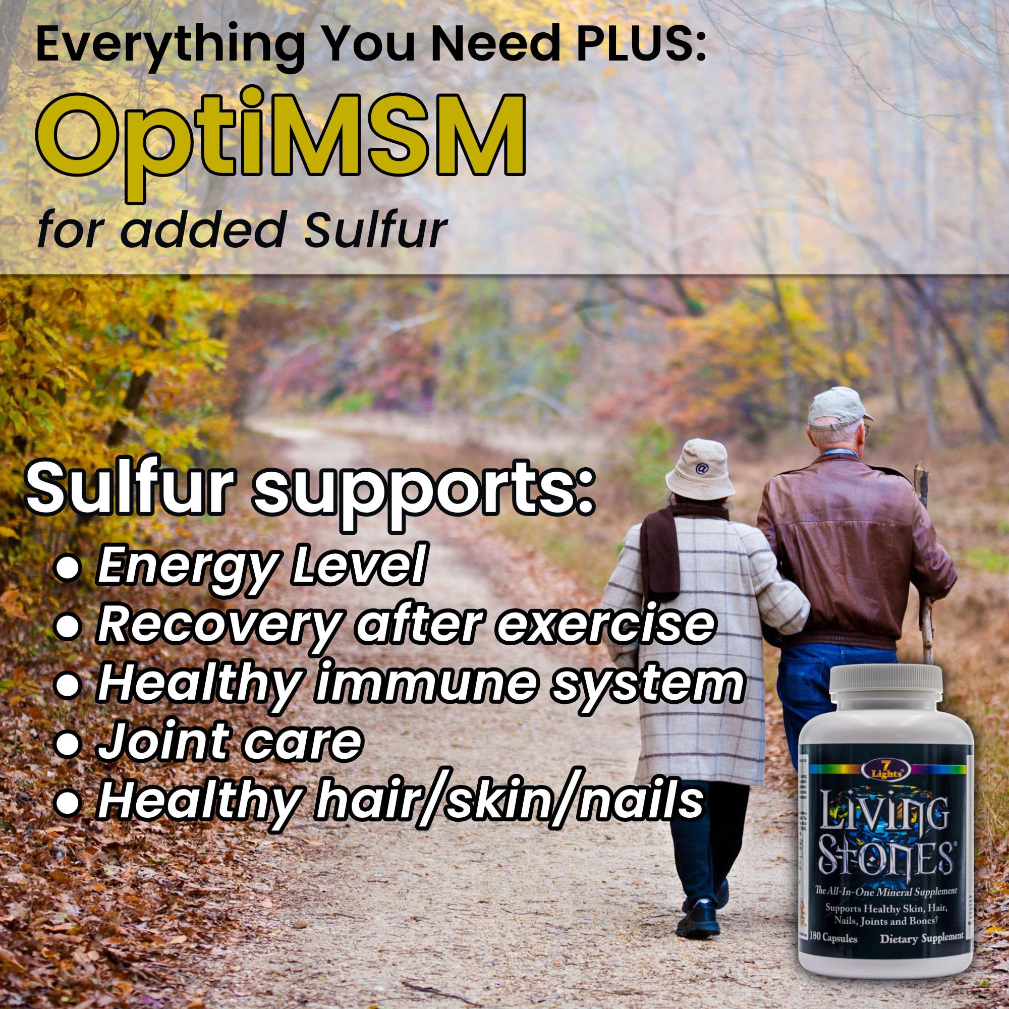 Living Stones, Complete Mineral Supplement with Zinc, Calcium, Magnesium, Selenium, Trace Minerals, No Added Iron, with MSM (Organic Sulfur) and Shilajit, Premium Absorption (30-Day Supply - 180 Caps) 7 LightsAu supplements