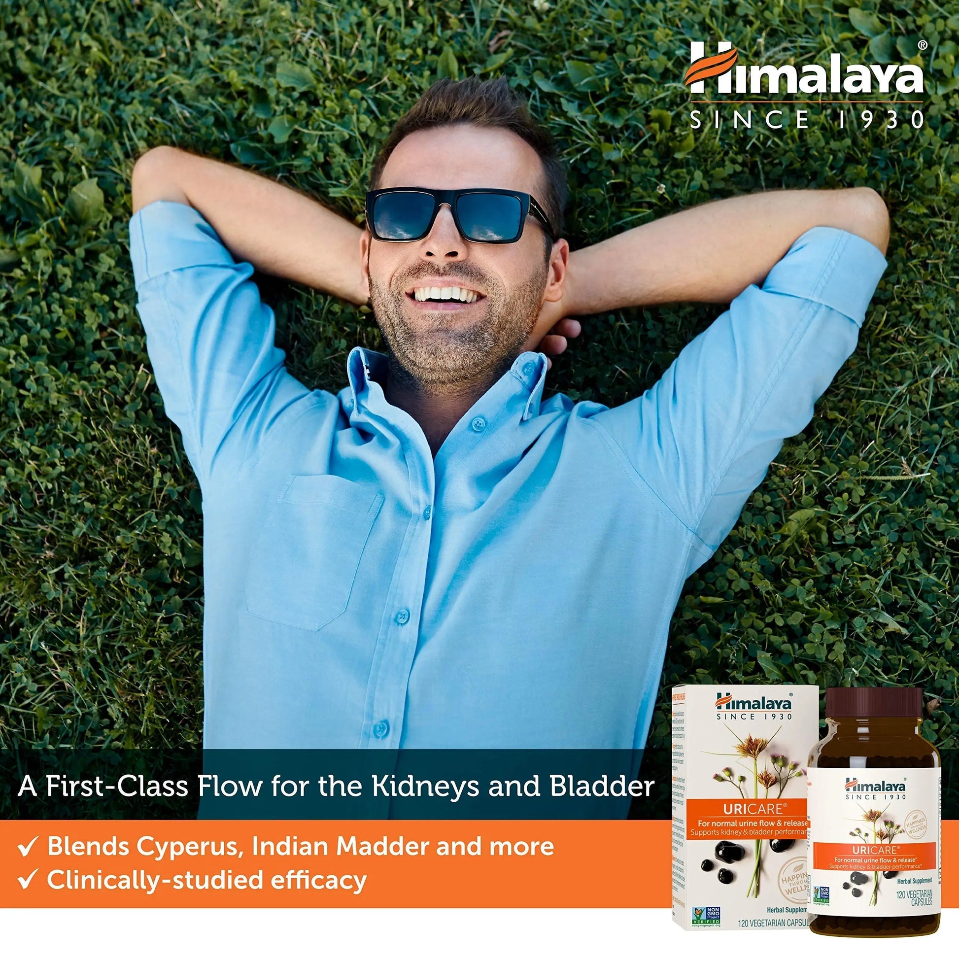Himalaya UriCare Herbal Supplement, Kidney & Bladder Support, Urinary Tract & Urine Flow Support, Caffeine Free, Non-GMO, Gluten Free, Vegetarian, 240 Capsules, 60 Day Supply HimalayaAu supplements