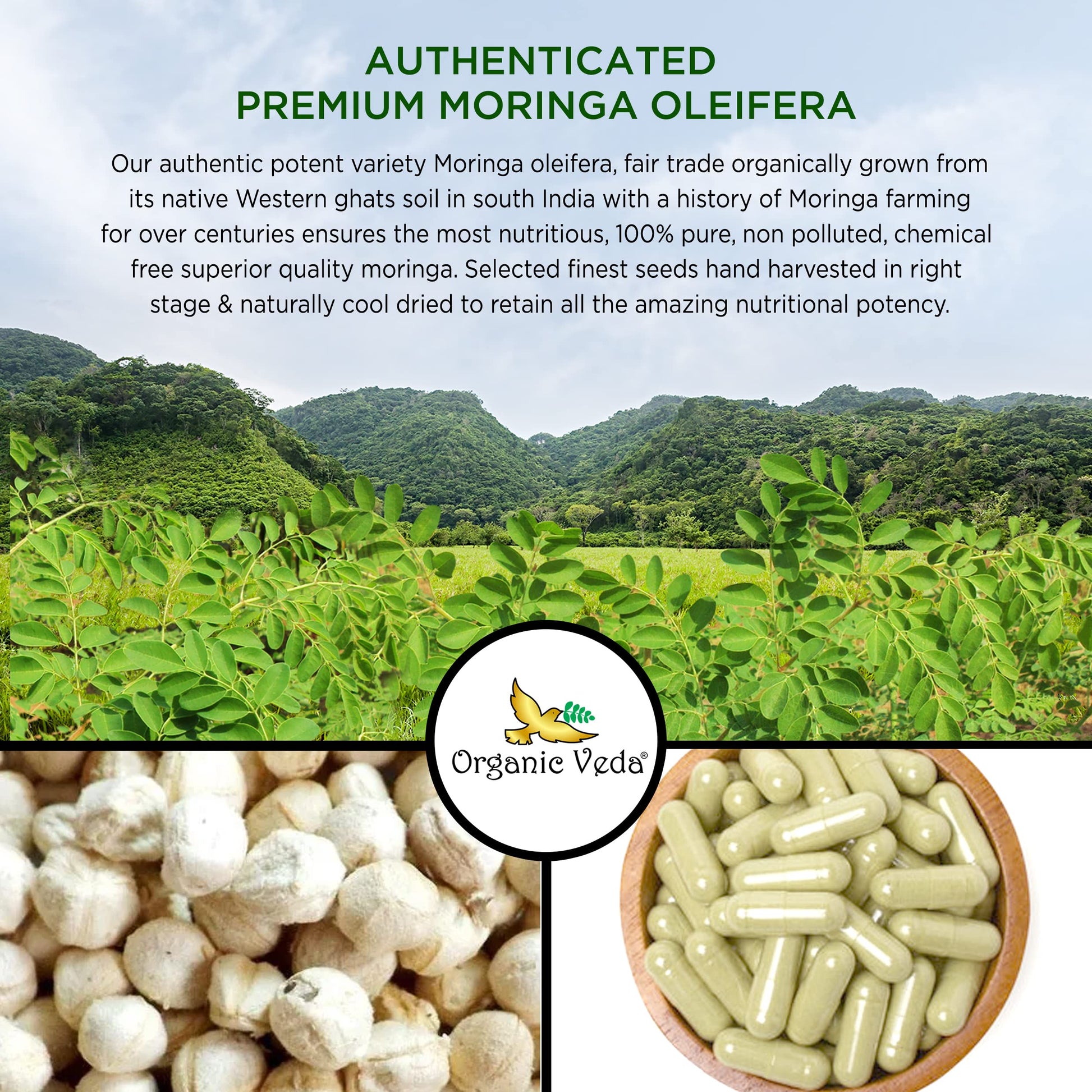 Organic Veda Moringa Seed Capsules - Pure Organic Moringa Capsules Seed Powder Organic VedaUS supplements
