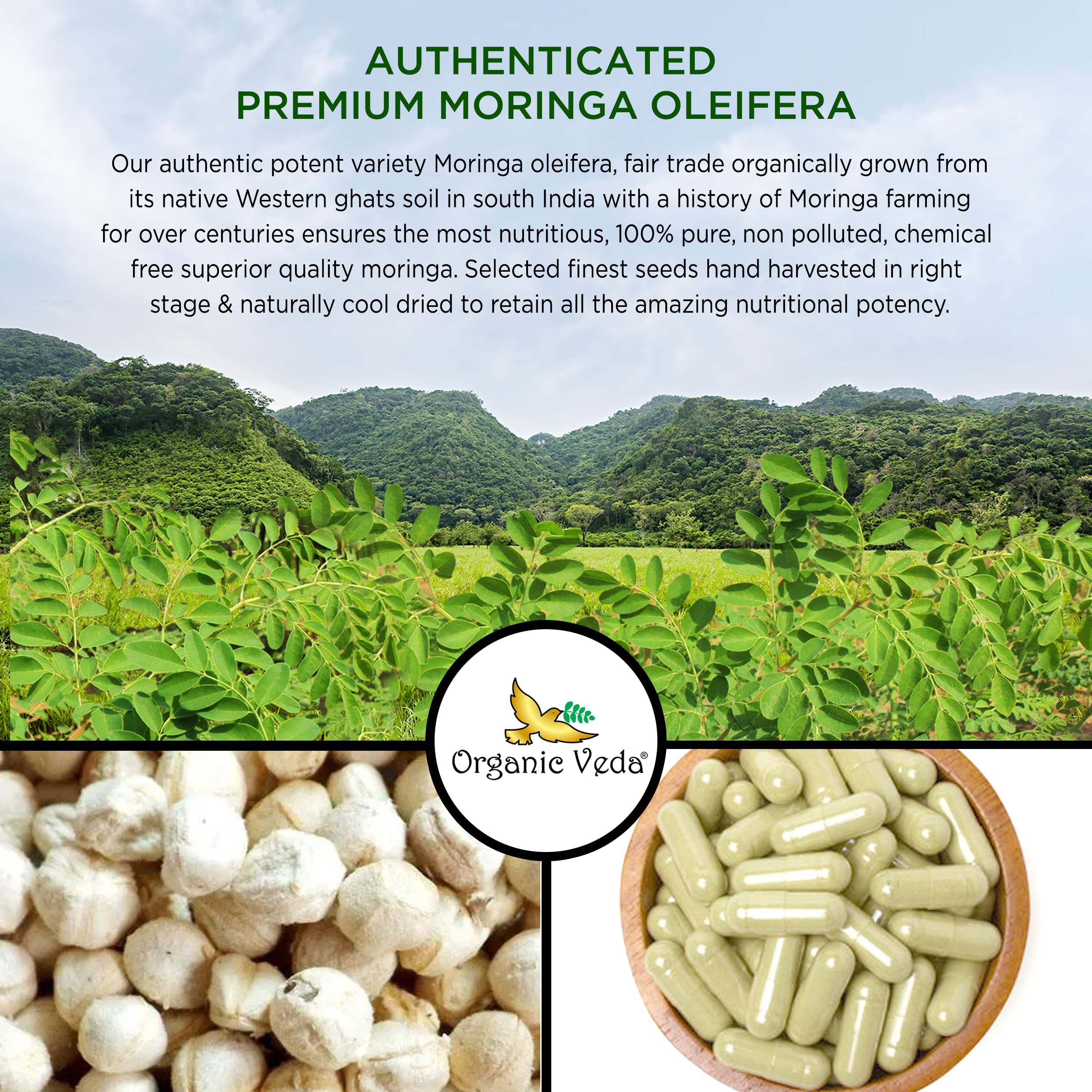 Organic Veda Moringa Seed Capsules - Pure Organic Moringa Capsules Seed Powder Organic VedaUS supplements
