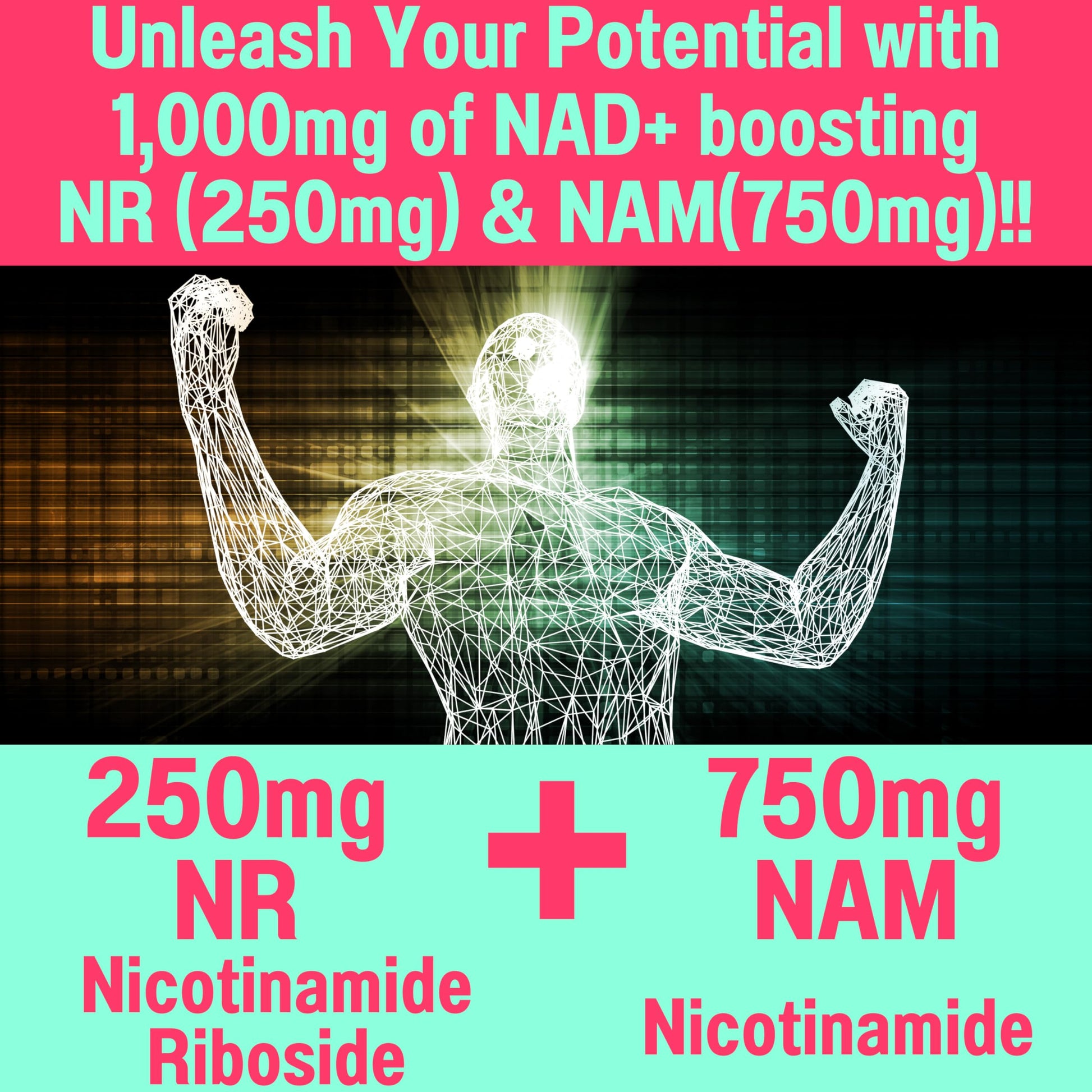 SHIZAM Nicotinamide Riboside NR NAM Resveratrol Gummies, 1000mg NAD+ NAD + Plus Nrf2 Activator Booster w Pure Niacinamide Vitamins B3 Capsules Pills Powder Supplements Alt NDA Regenerator 500mg SHIZAMAu supplements