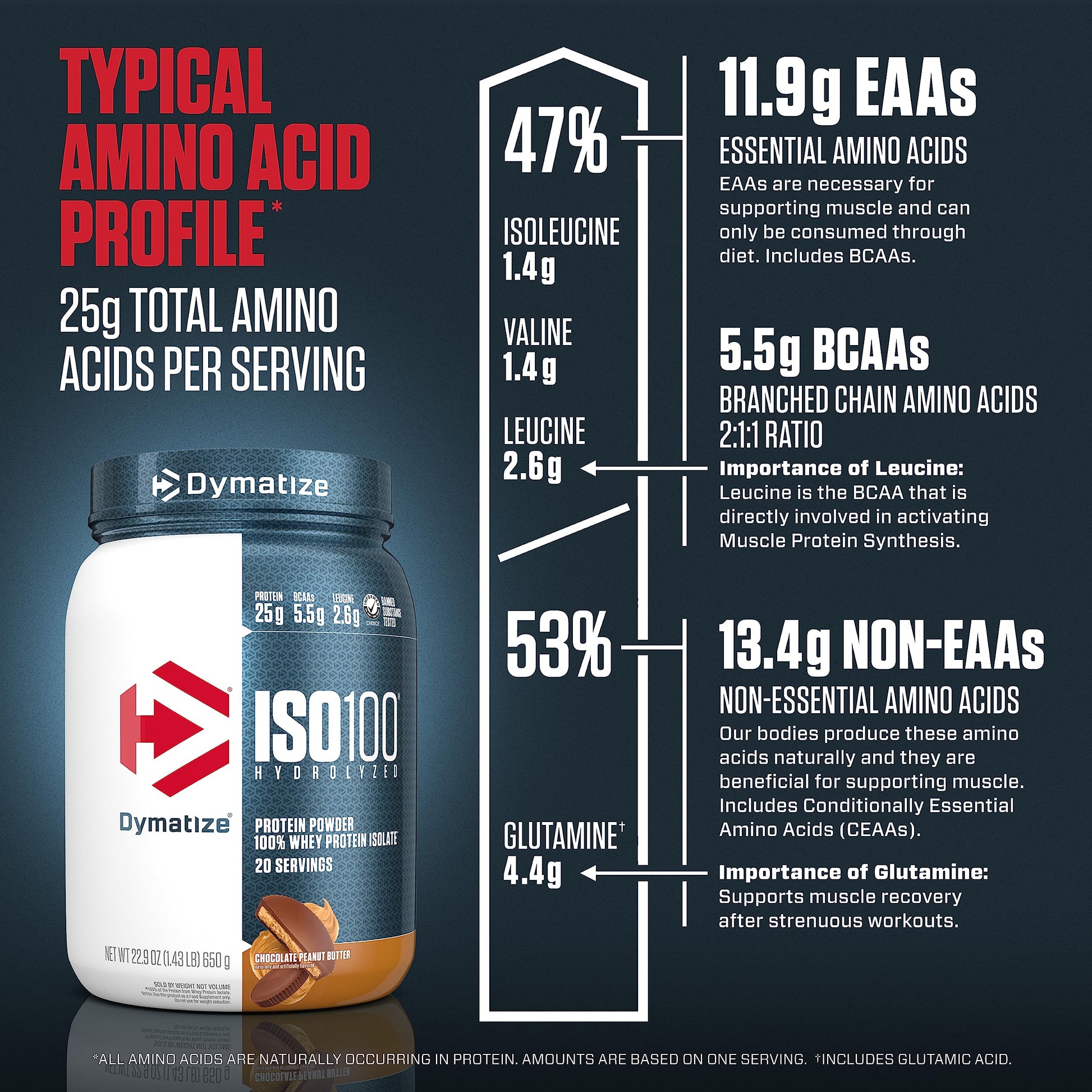 Dymatize ISO100 Whey Protein Powder with 25g of Hydrolyzed 100% Whey Isolate DymatizeUS supplements