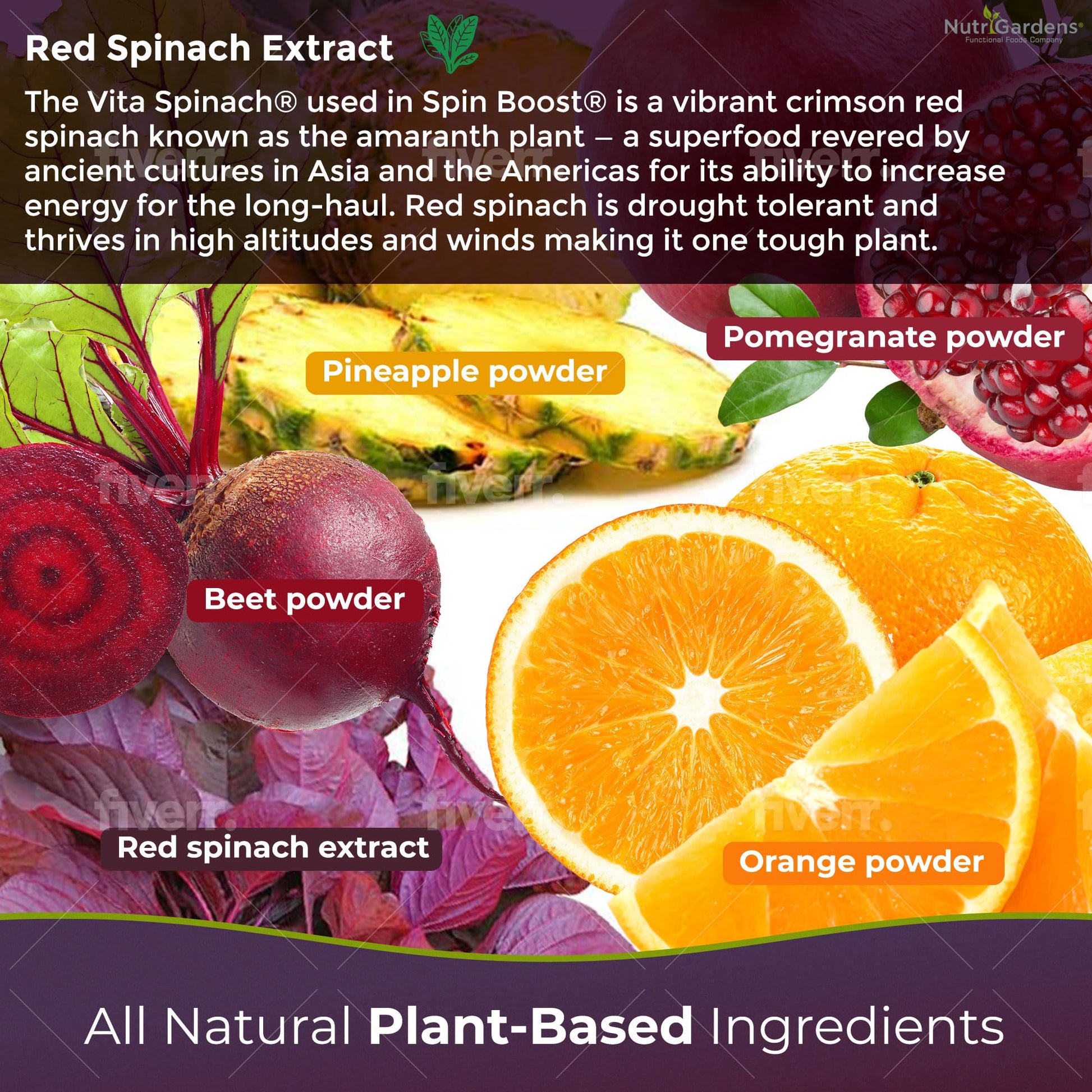 Nutrigardens Spin Boost Nitric Oxide Red Spinach Nitrate Pre-Workout Powder Concentrated NutrigardensAu supplements