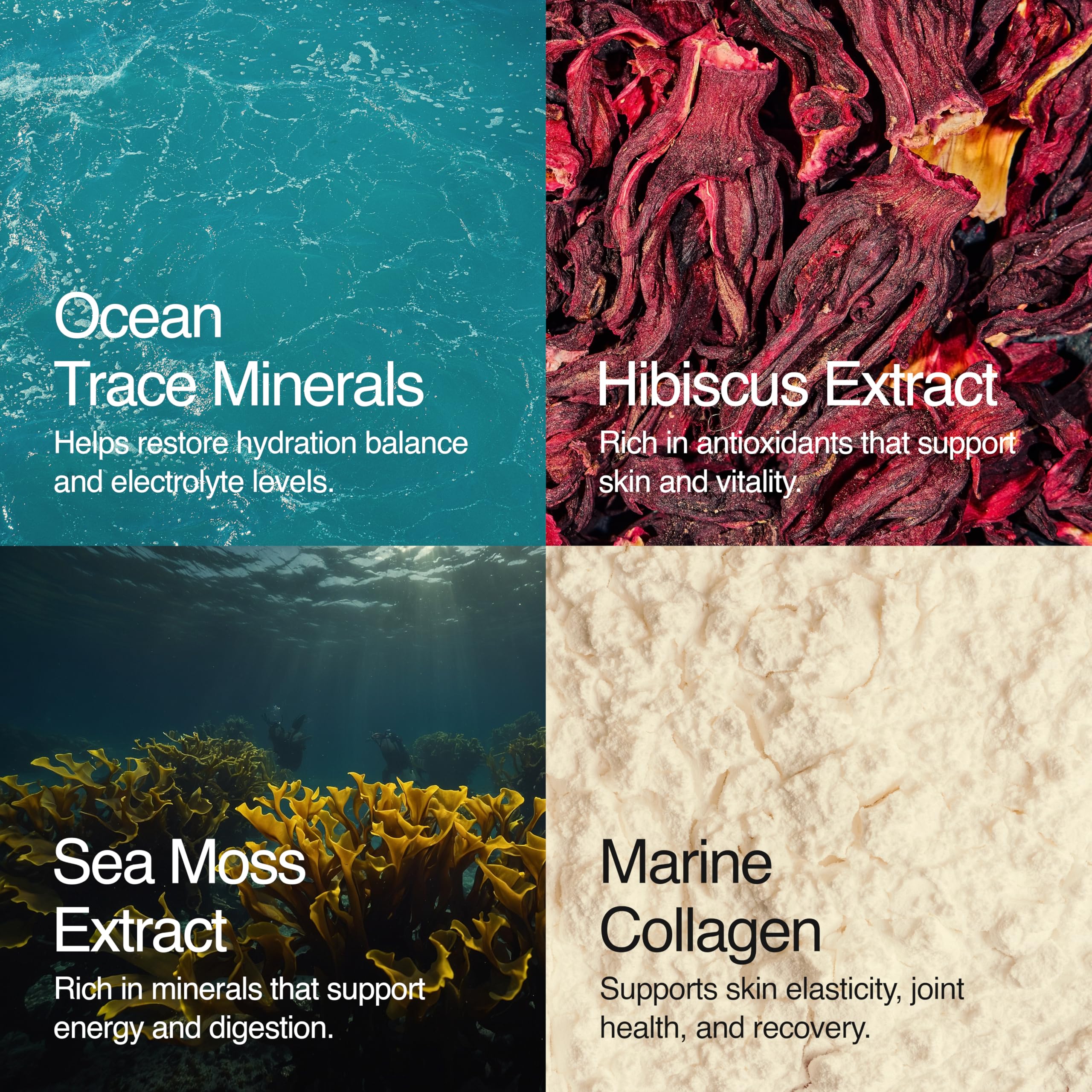 Sea Bloom Labs Marine Collagen Powder Stick Packs with Sea Moss Powder and Electrolytes, Hydration and Beauty Blend - Mango (8-Pack) Sea Bloom LabsAu supplements