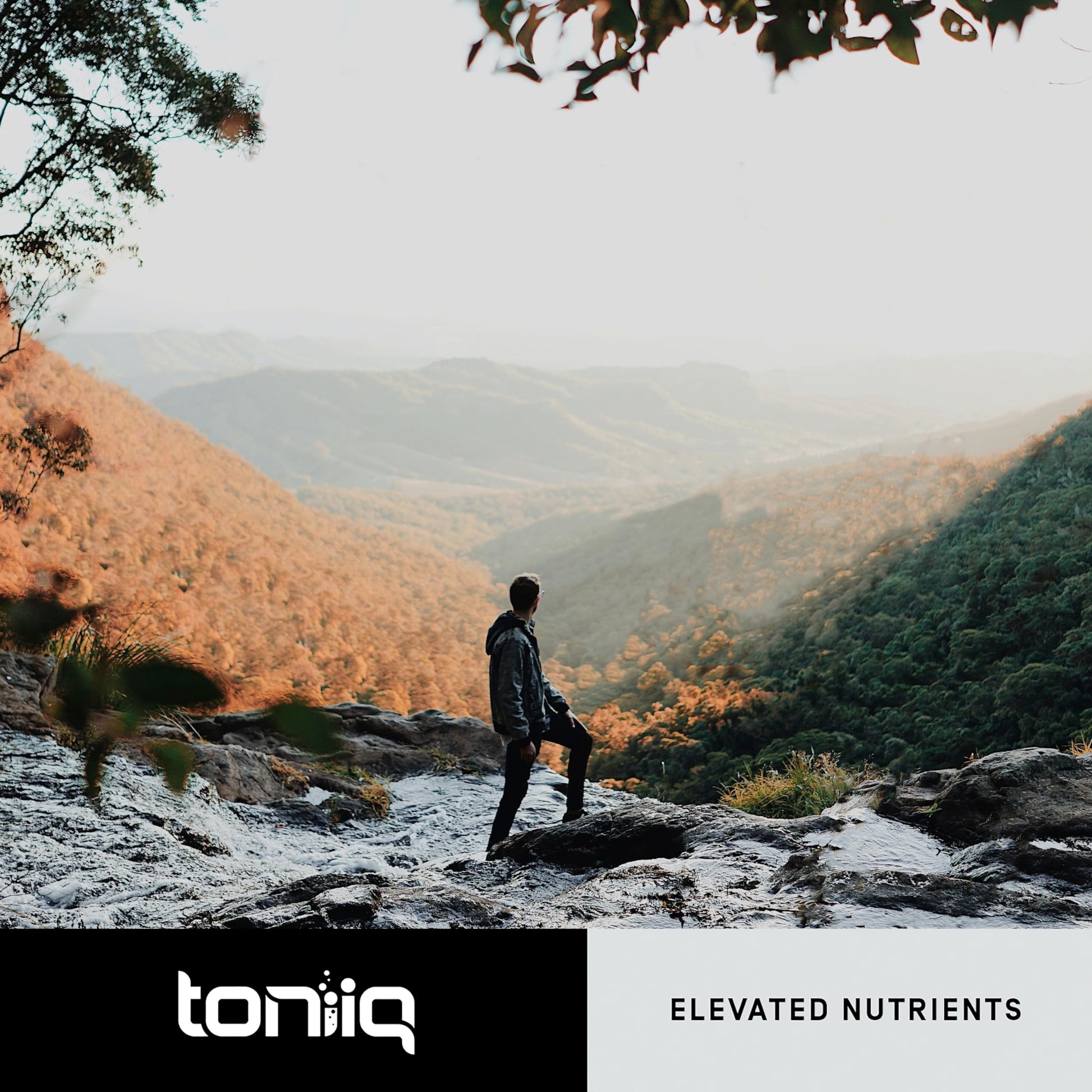 Toniiq 18,000mg 15x Concentrated Artichoke Extract Capsules - Ultra Concentrated ToniiqUS supplements