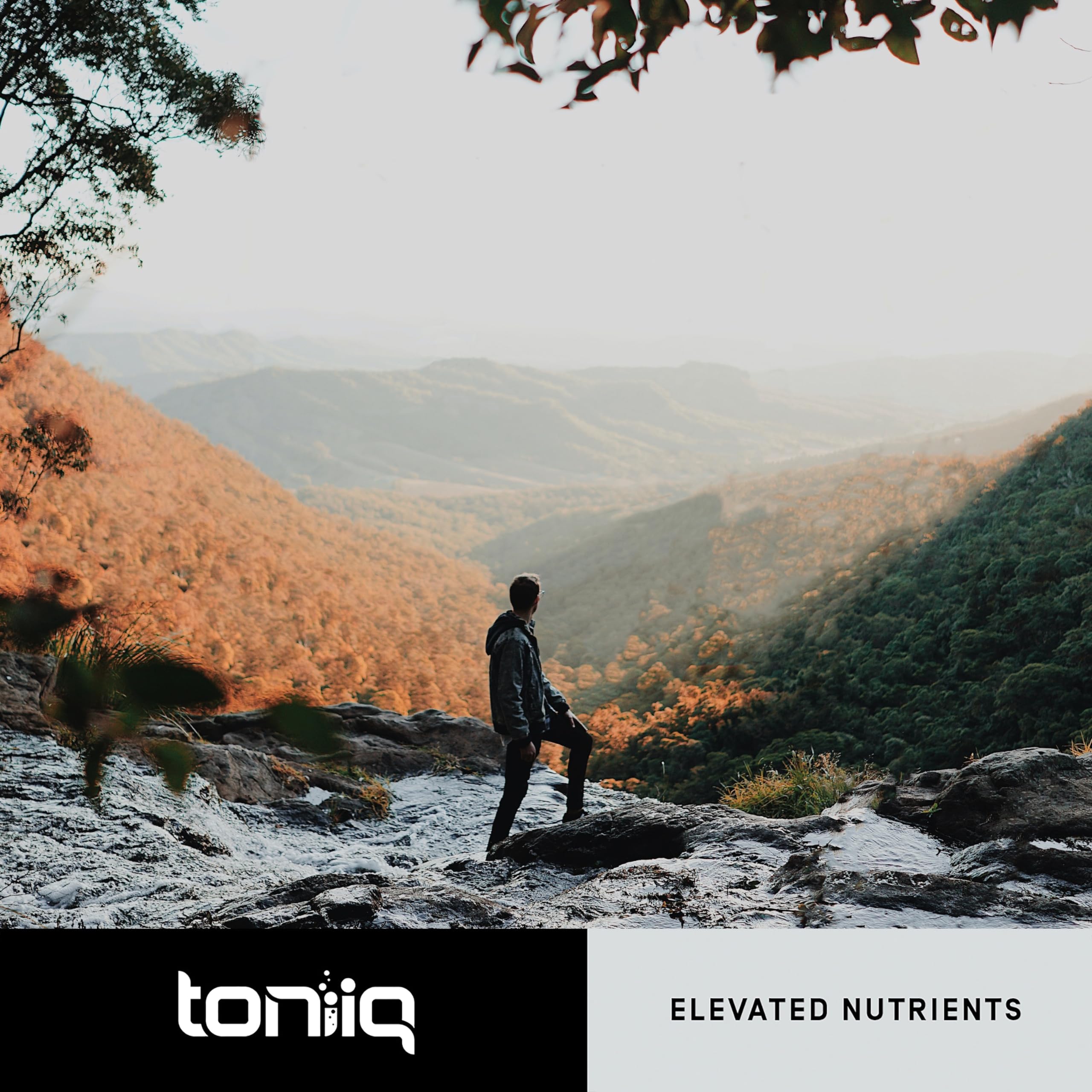 Toniiq 18,000mg 15x Concentrated Artichoke Extract Capsules - Ultra Concentrated ToniiqUS supplements