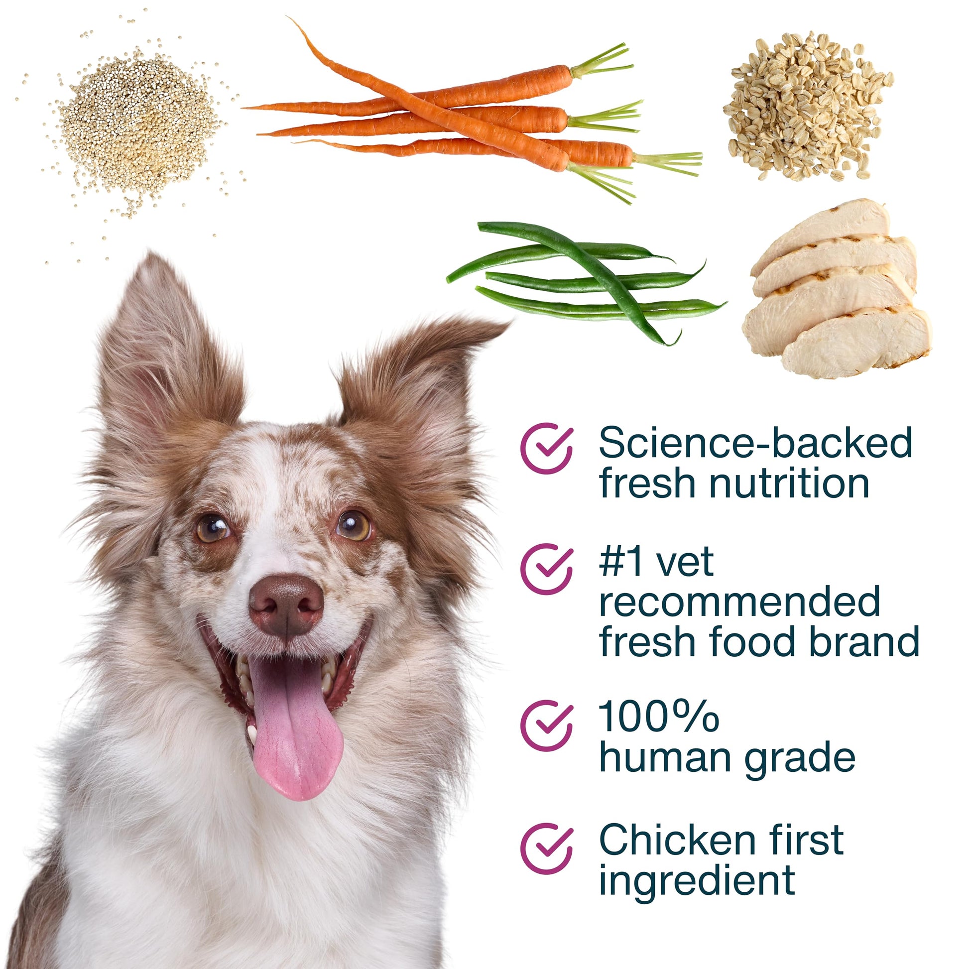 JustFoodForDogs JustFresh Boosts Hip & Joint Support Dog Food Toppers with Glucosamine to Support Hip Mobility & Joint Flexibility, Human-Grade Fresh Pet Meal Booster, 8 oz Pouches - 8 Pack JustFoodForDogsAu supplements