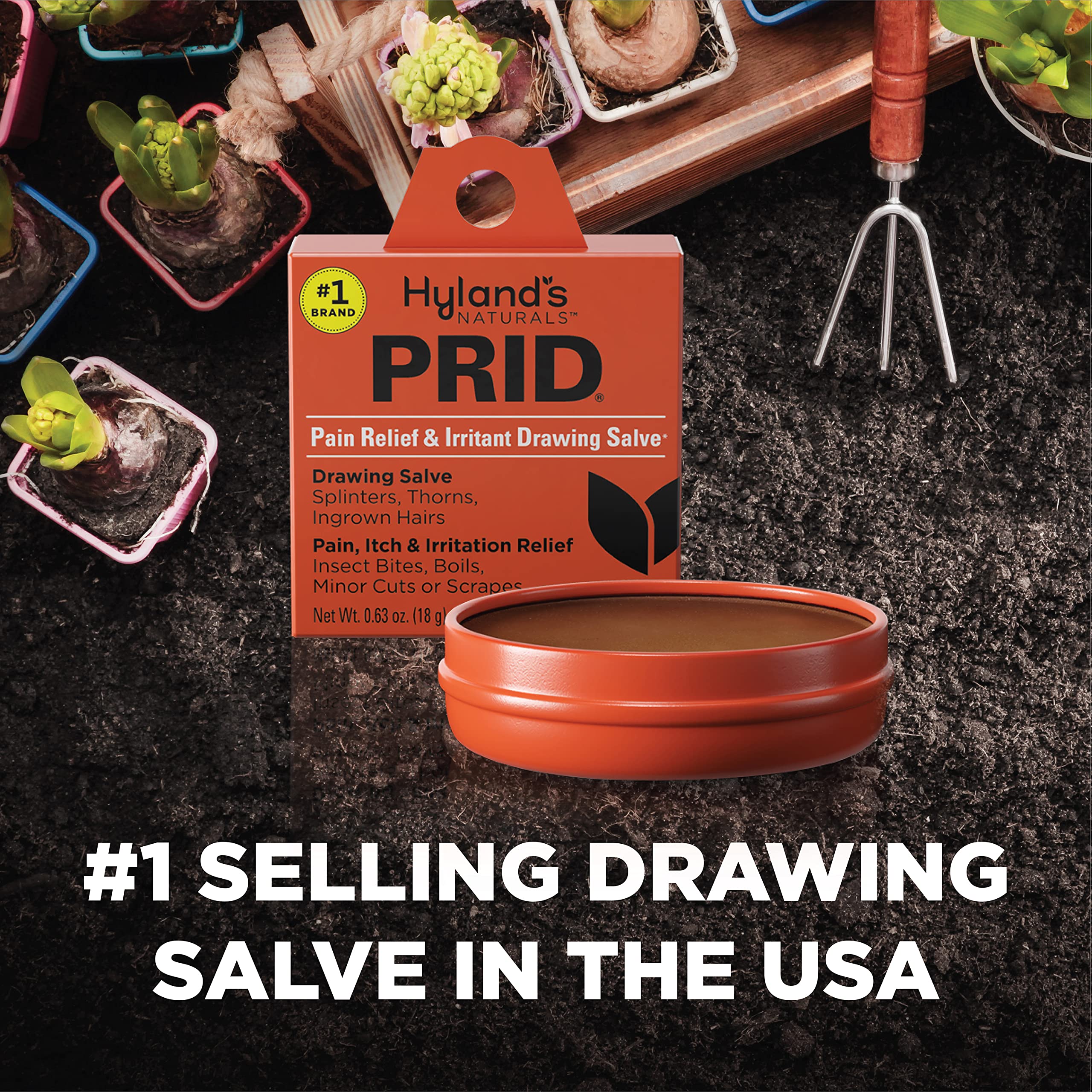 Hyland's PRID Drawing Salve Naturals (2 Pack) Hyland'sAu supplements