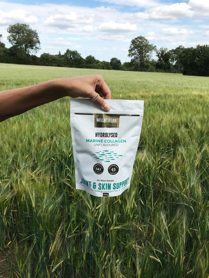 Cleanest Marine Collagen Peptides | Wellness Lab 454g | Type I,III | Highest Bioavailability Hydrolysed Protein Wellness LabUS supplements