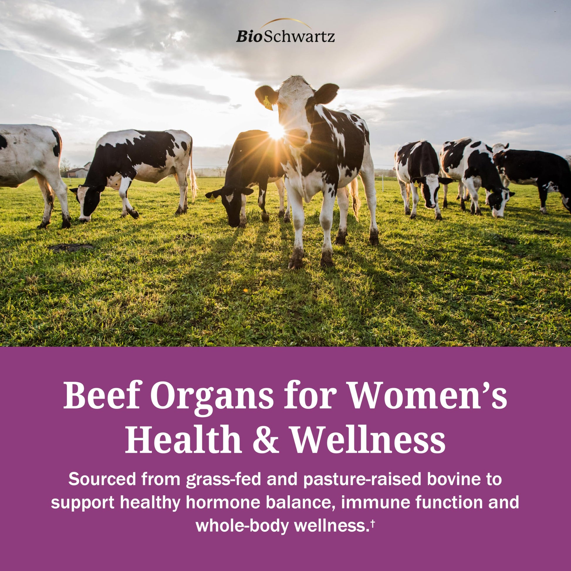 BioSchwartz Primal Beef Organ Supplement for Women - 60 Capsules - Grass-Fed & Pasture-Raised - Supports Healthy Hair Skin and Nails, Hormone Balance - with Bovine Liver, Kidney, Heart, Uterus Powder BioSchwartzAu supplements