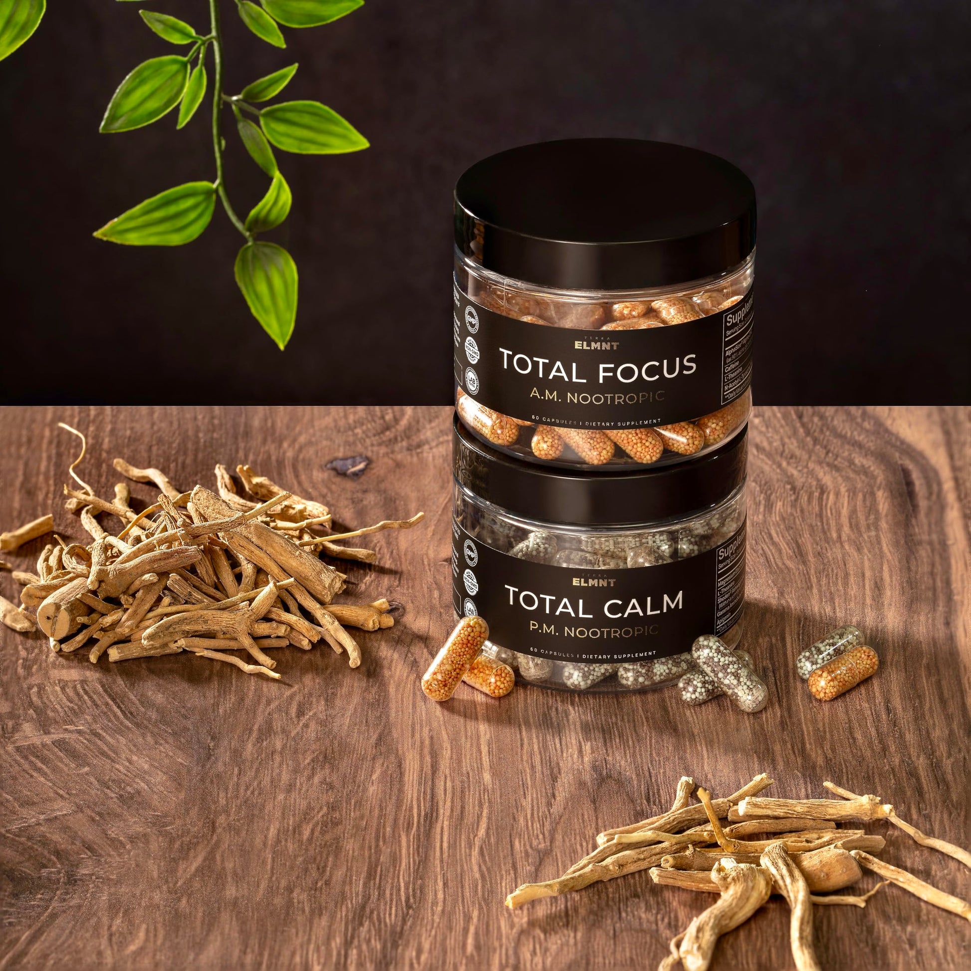 AMPM Nootropic Total Focus + Calm 9X Strength w. Caffeine, L-Theanine, Alpha GPC, L-Tyrosine, Ashwagandha - X-Release Energy Pills Nootropics Brain Support Supplements for Memory and Focus Supplement TERRA ELMNTAu supplements