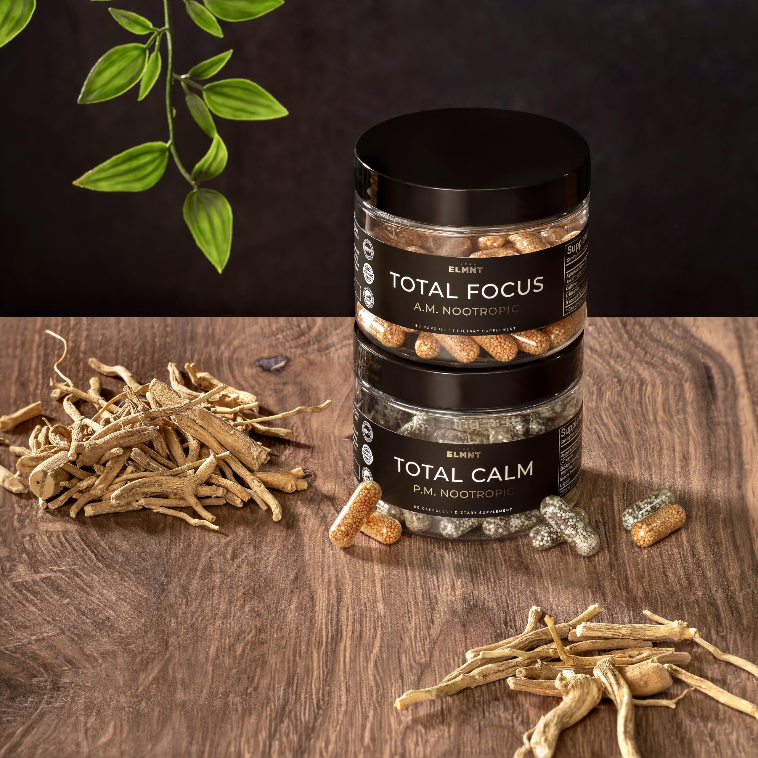 AMPM Nootropic Total Focus + Calm 9X Strength w. Caffeine, L-Theanine, Alpha GPC, L-Tyrosine, Ashwagandha - X-Release Energy Pills Nootropics Brain Support Supplements for Memory and Focus Supplement TERRA ELMNTAu supplements