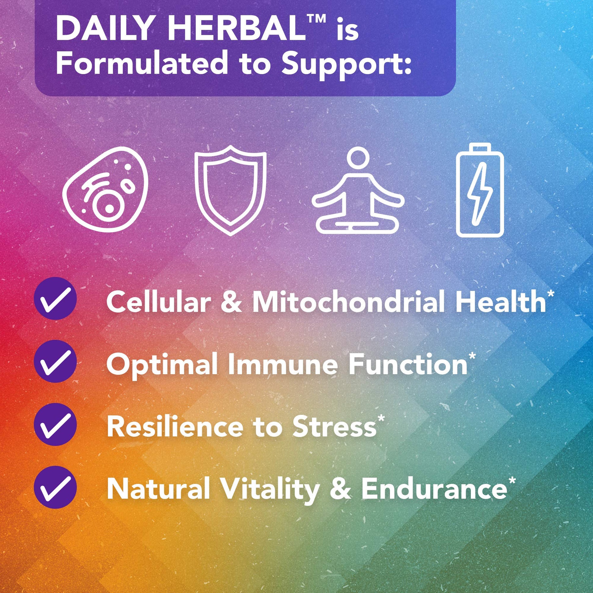 Vital Plan Daily Herbal Supplement by Dr. Bill Rawls – Herbal Immunity Booster for Immune Support, Microbiome Balance & Cell Health — Reishi Mushroom, Turmeric & Rhodiola Vital PlanAu supplements