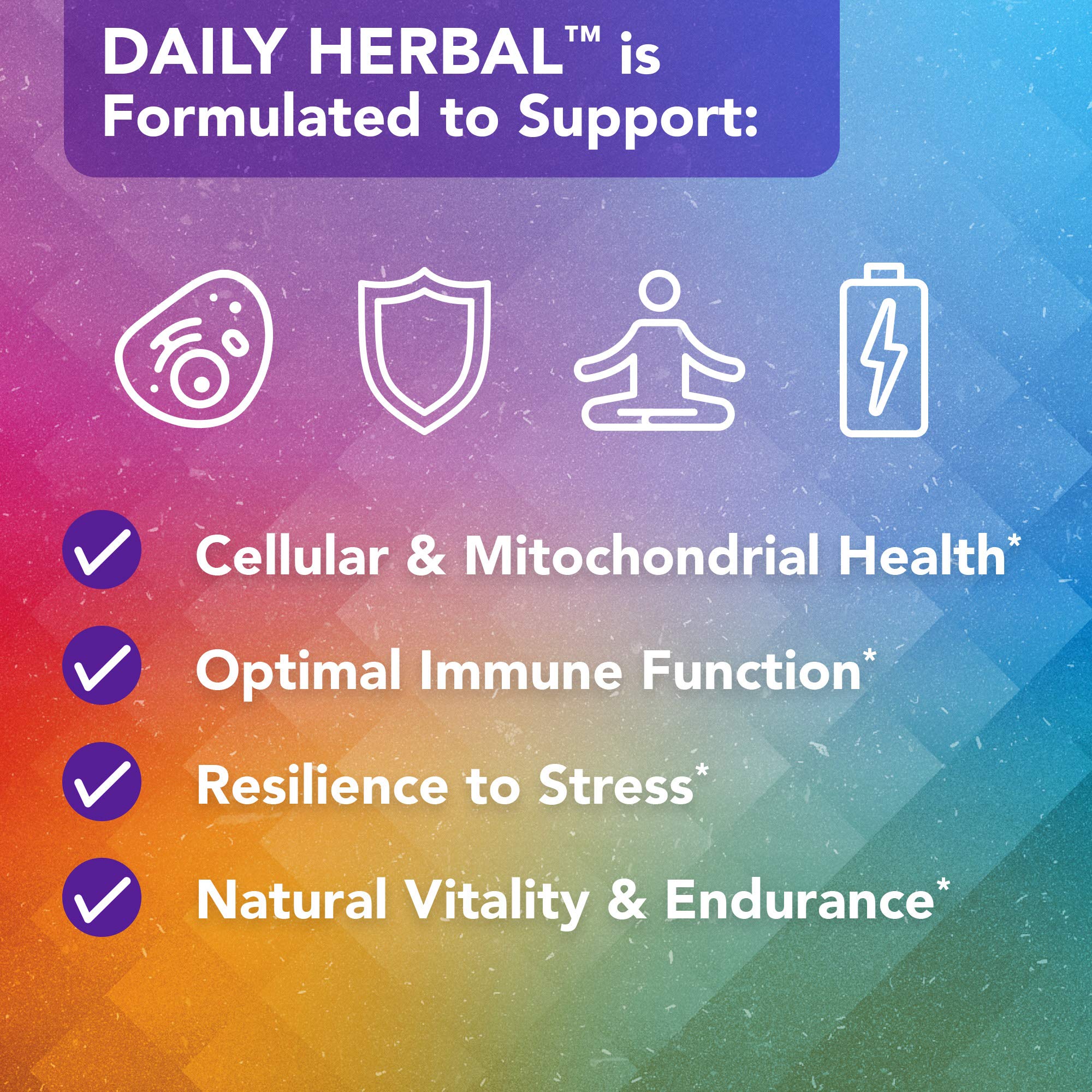 Vital Plan Daily Herbal Supplement by Dr. Bill Rawls – Herbal Immunity Booster for Immune Support, Microbiome Balance & Cell Health — Reishi Mushroom, Turmeric & Rhodiola Vital PlanAu supplements