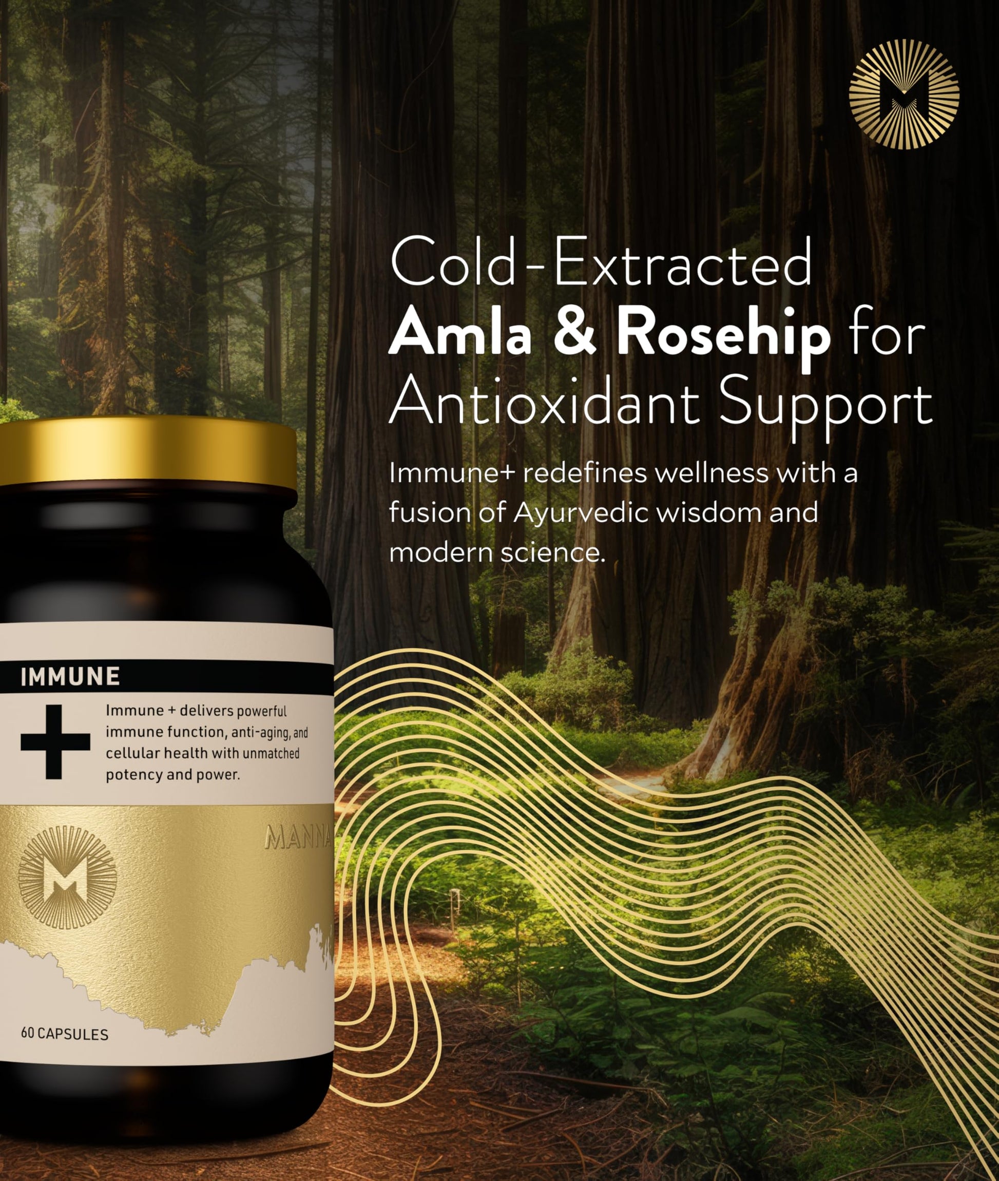 Manna Immune+ Capsules | 500mg Amla Extract & 500mg Rosehip Extract | Vitamin C Supplement for Immune Boost, Antioxidants, Heart Health, Digestion & Immune System Support | For Daily Use | 60 Count M MannaAu supplements