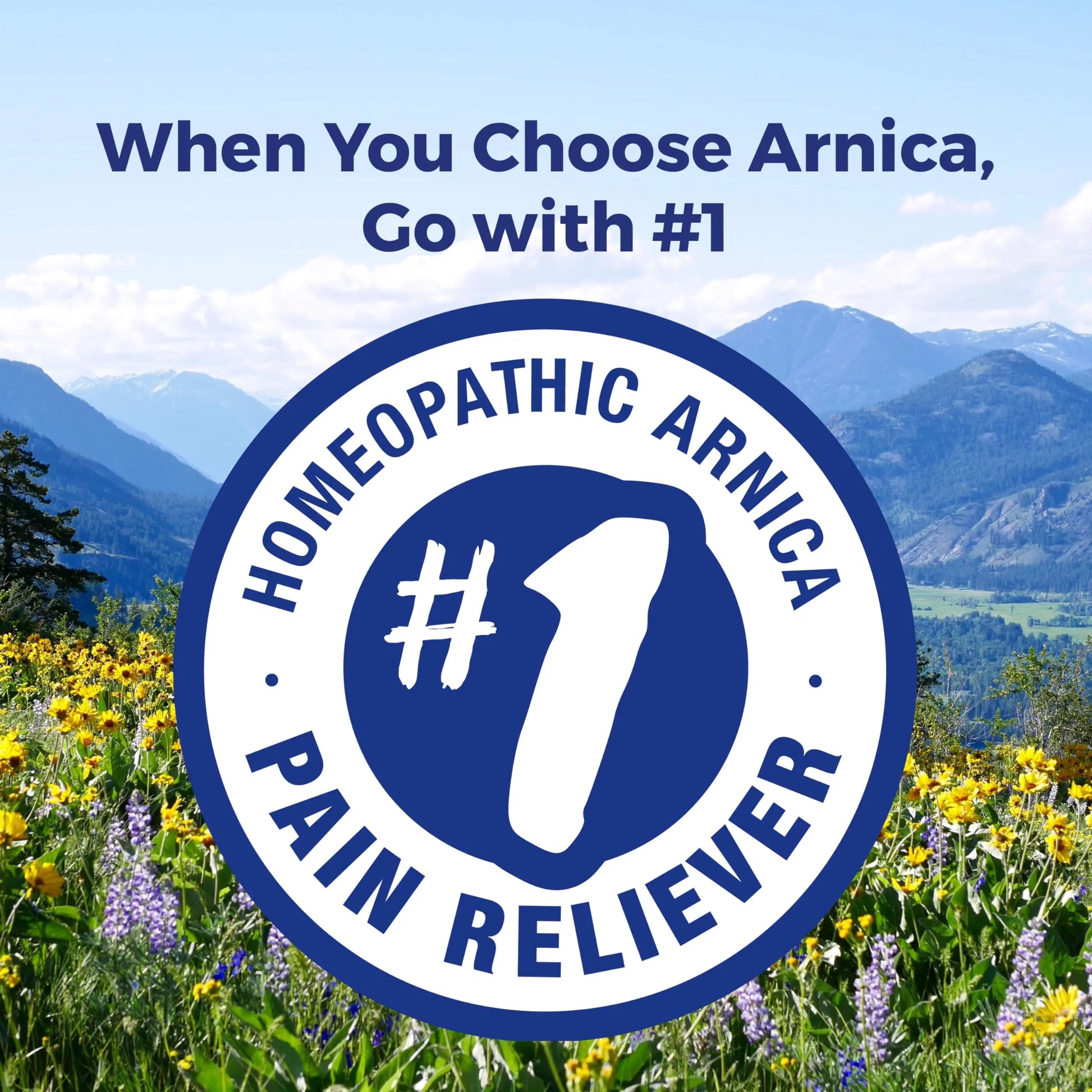 Boiron Arnica Montana 30X Homeopathic Medicine for Relief from Muscle Pain, Muscle Stiffness, Swelling from Injury, and Discoloration from Bruises - 3 Count (240 Pellets) BoironAu supplements